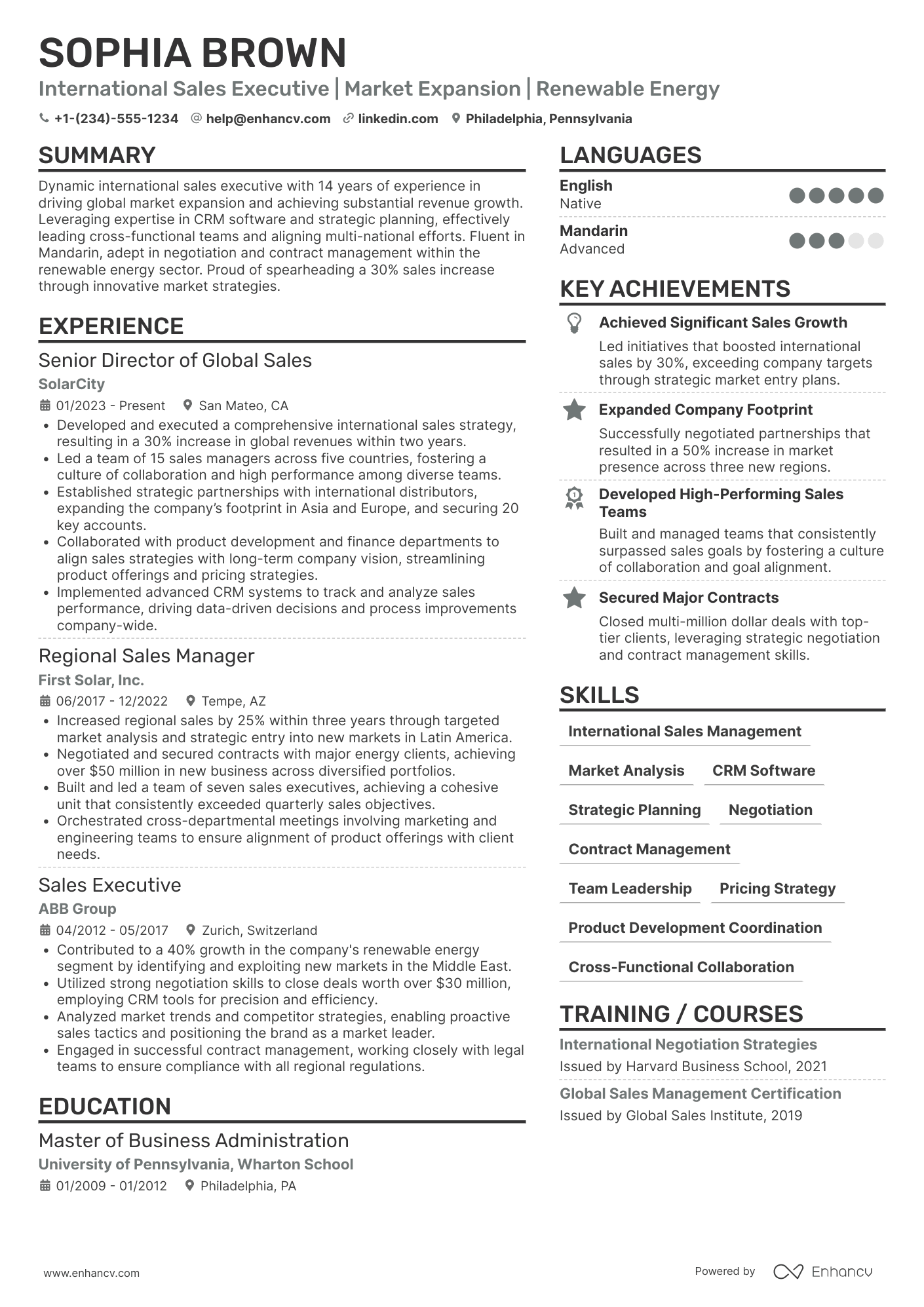 A resume example of a VP of International Sales