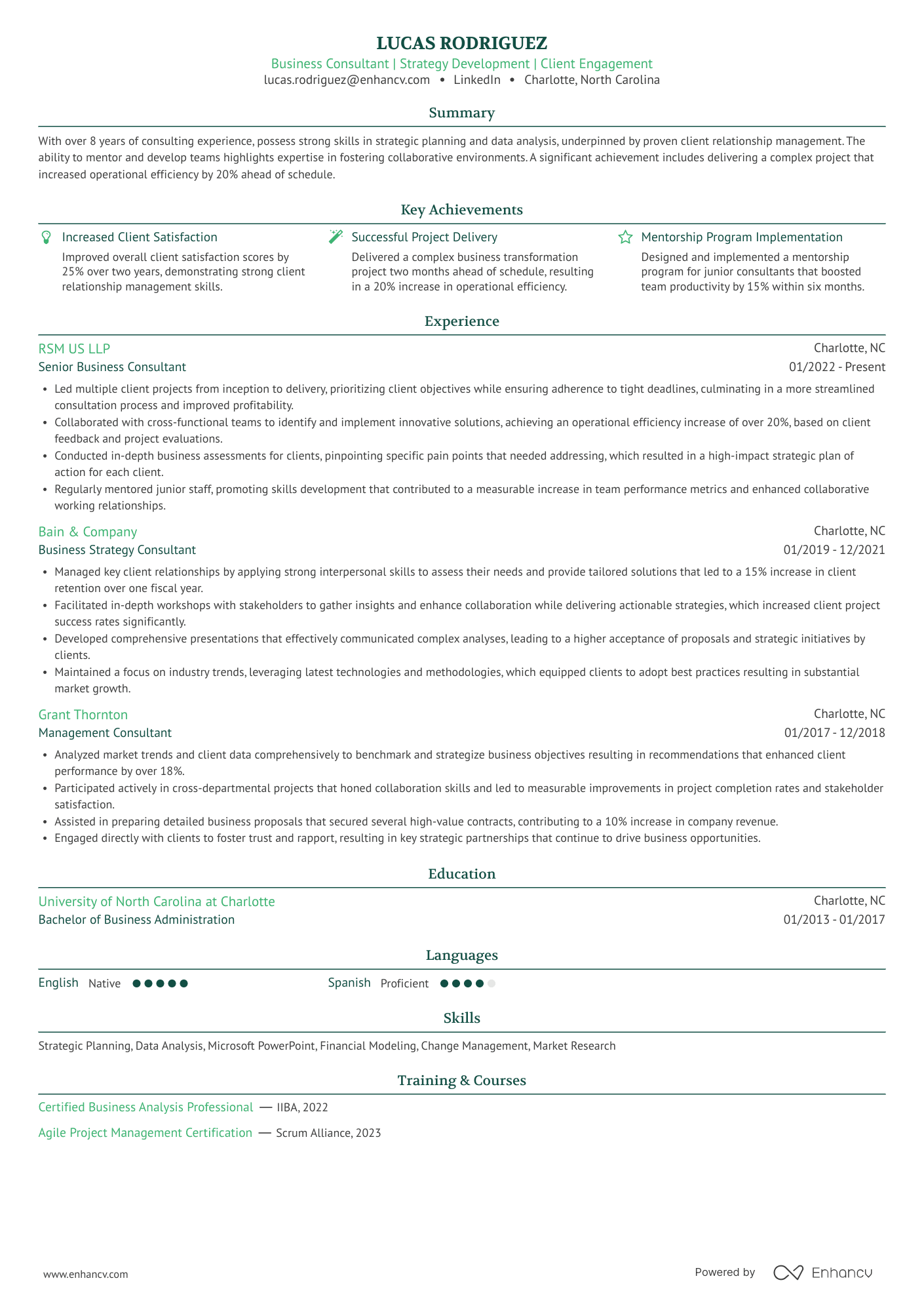 A resume example of a Business Consultancy Partner