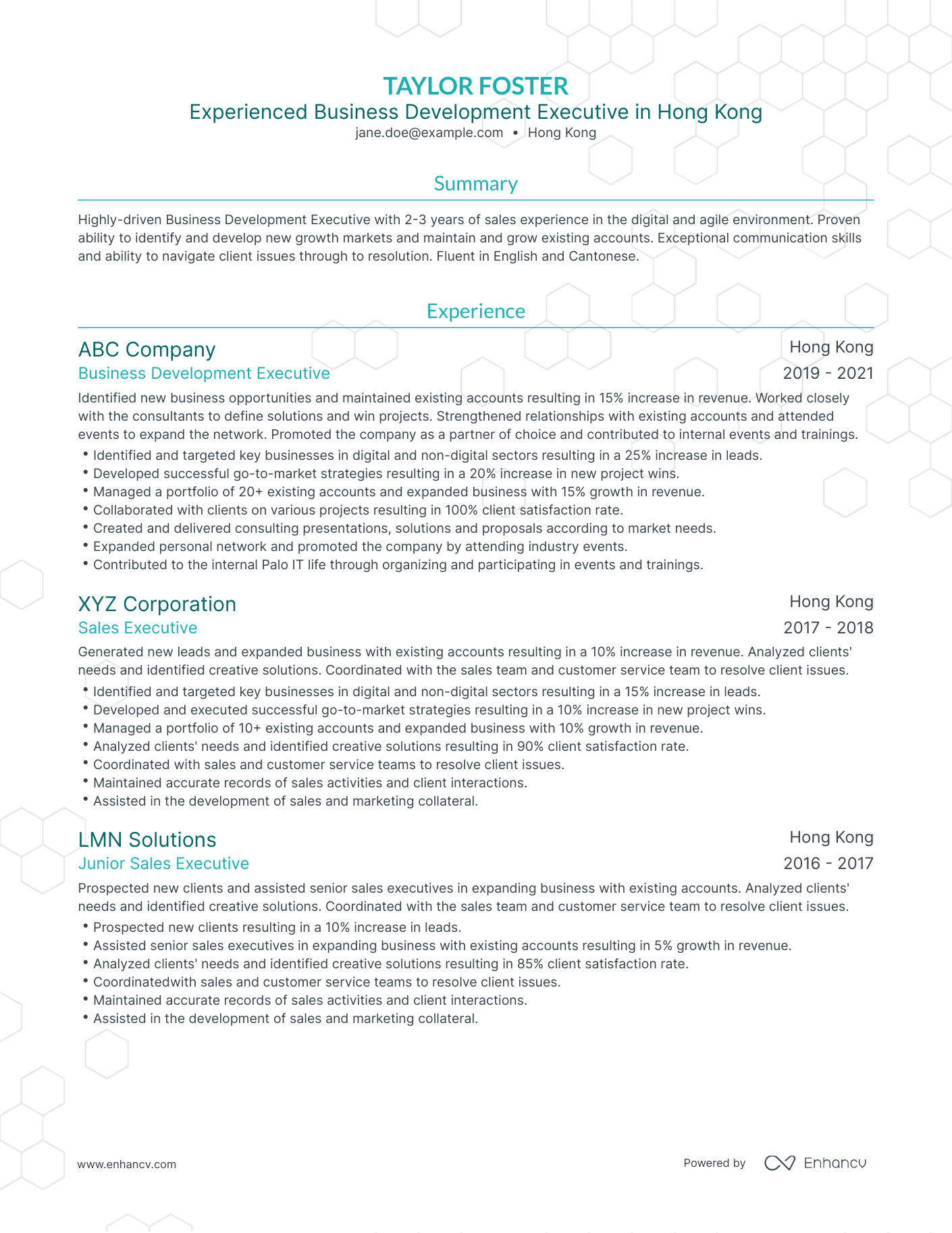 Traditional Business Development Executive Resume Template