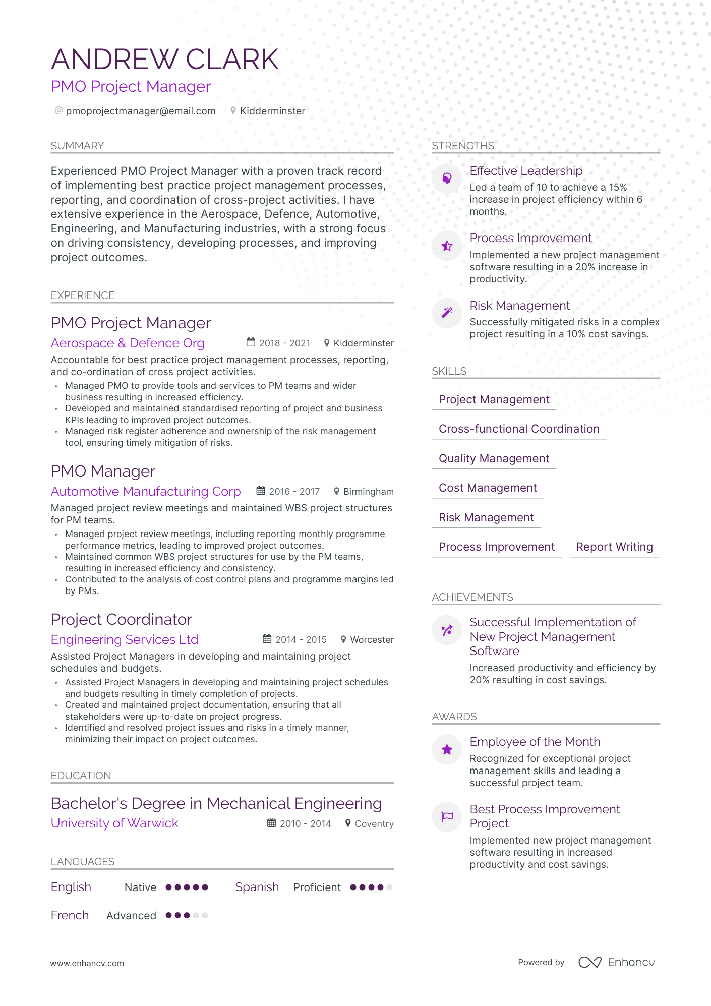 Modern PMO Manager Resume Template
