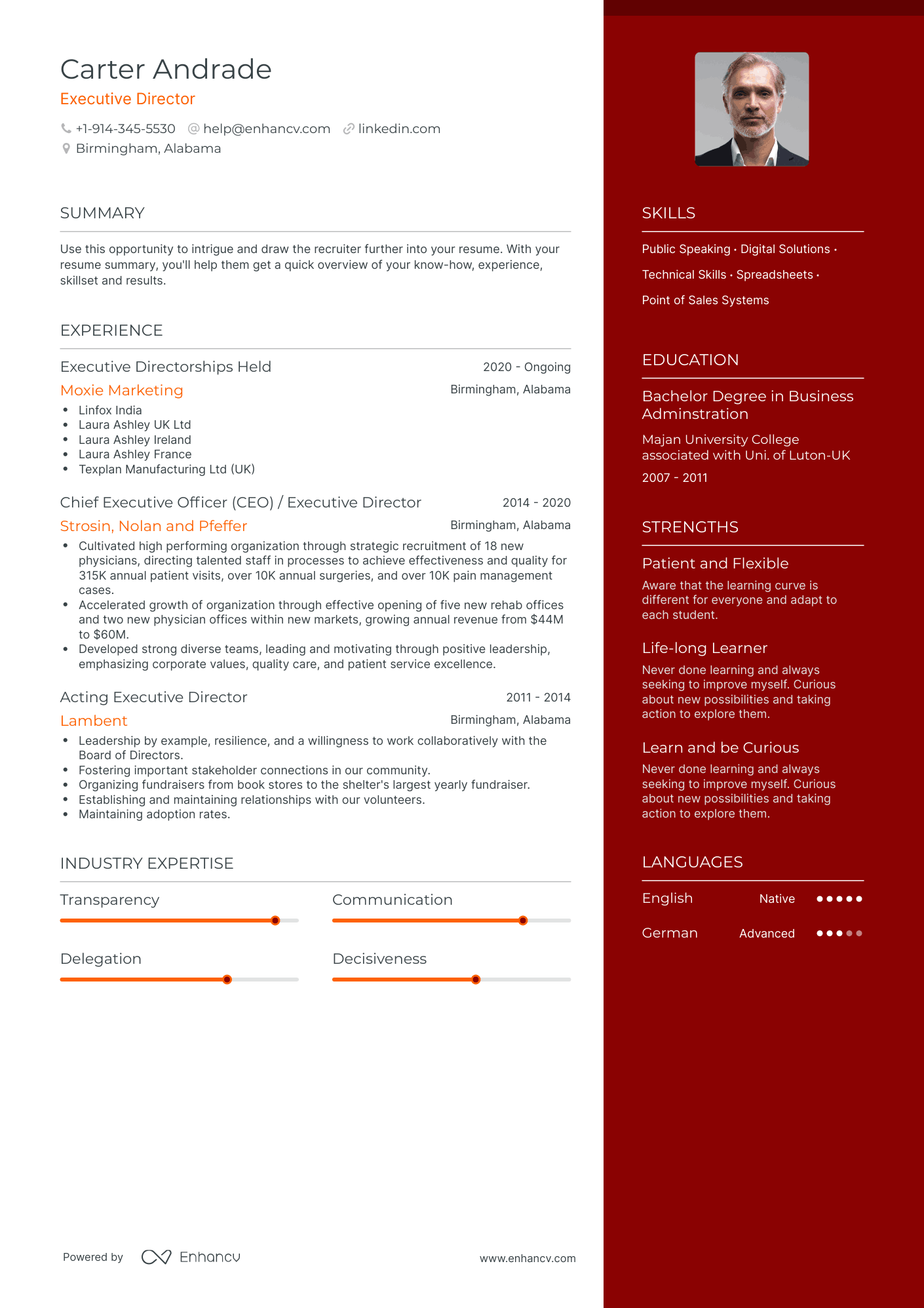 Executive Director Resume Examples & Guide for 2023 (Layout, Skills ...