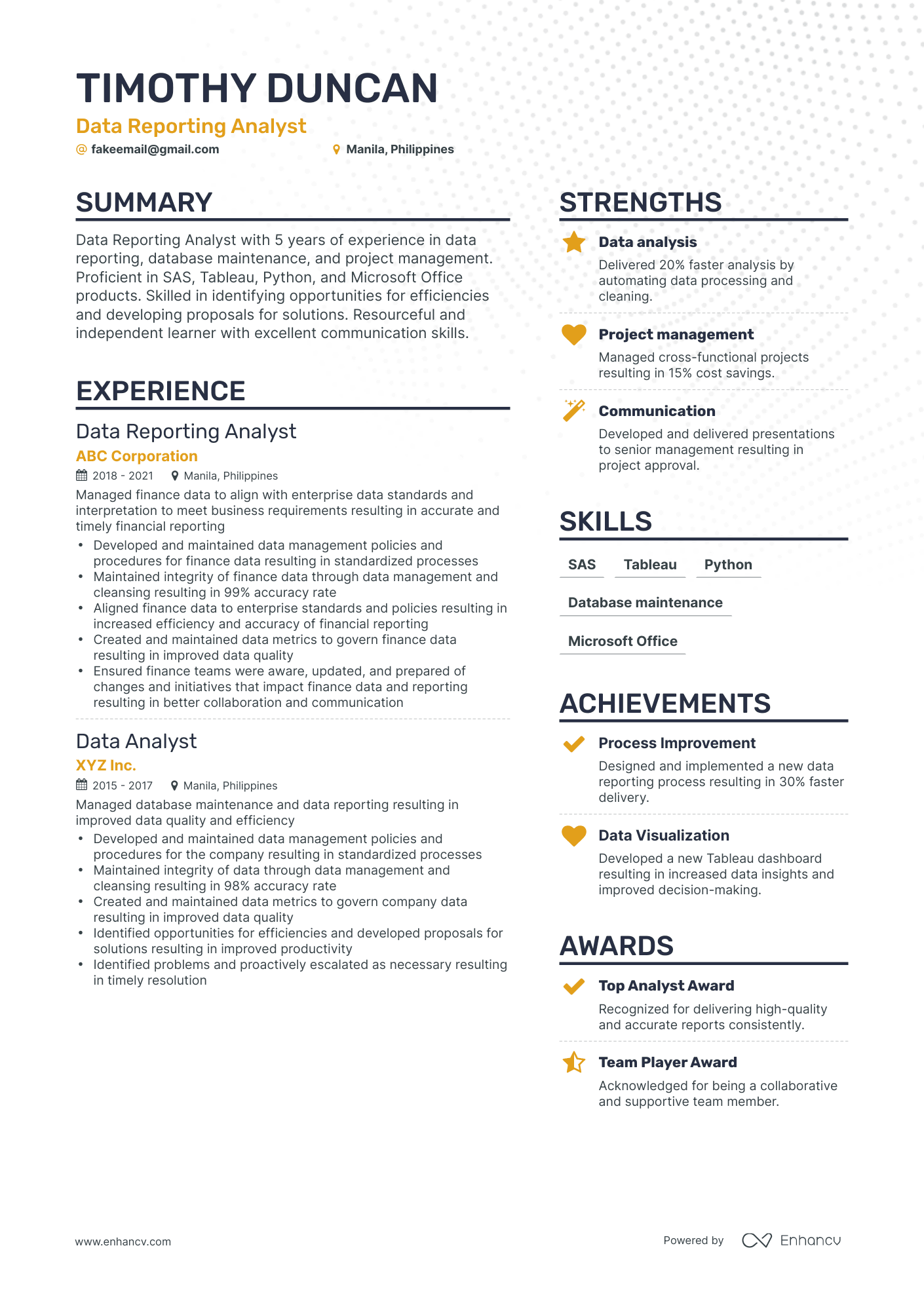 Simple Data Reporting Analyst Resume Template