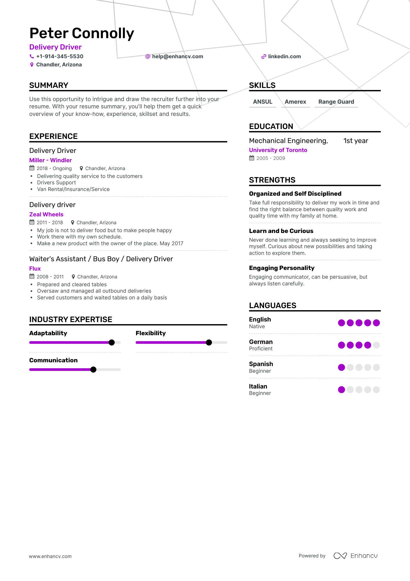 Simple Delivery Driver Resume Template