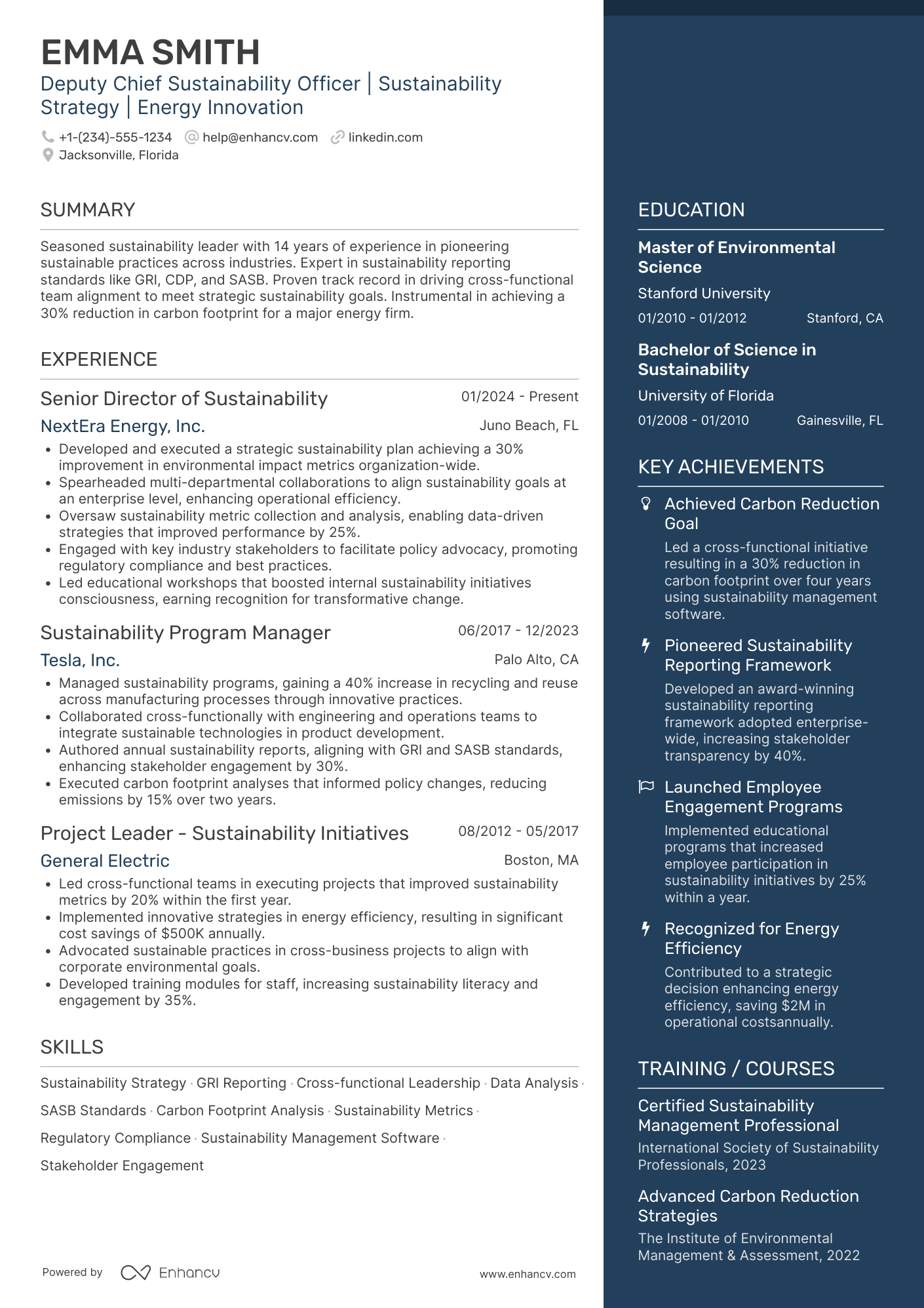 A resume example of a Deputy Chief Sustainability Officer