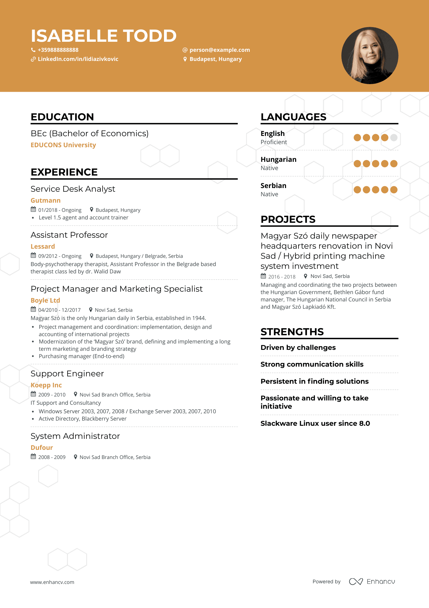 Creative IT Support Resume Template