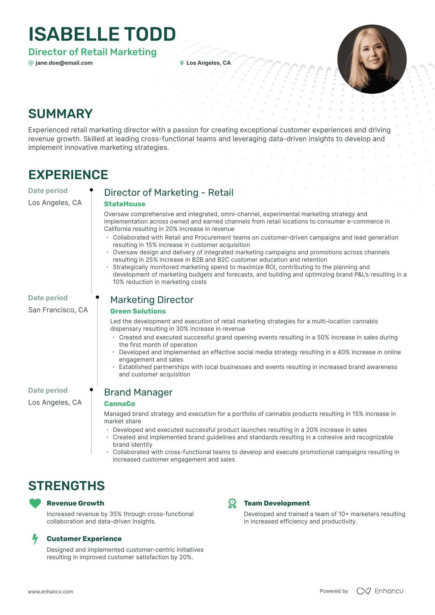 Timeline Retail Director Resume Template