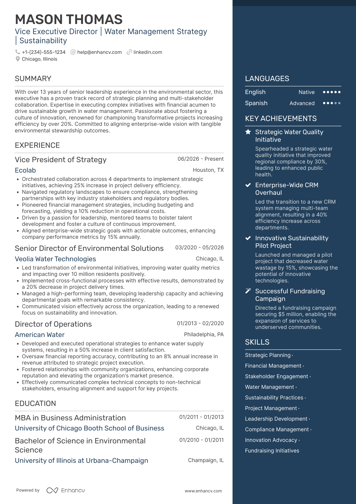 A resume example of a Vice Executive Director