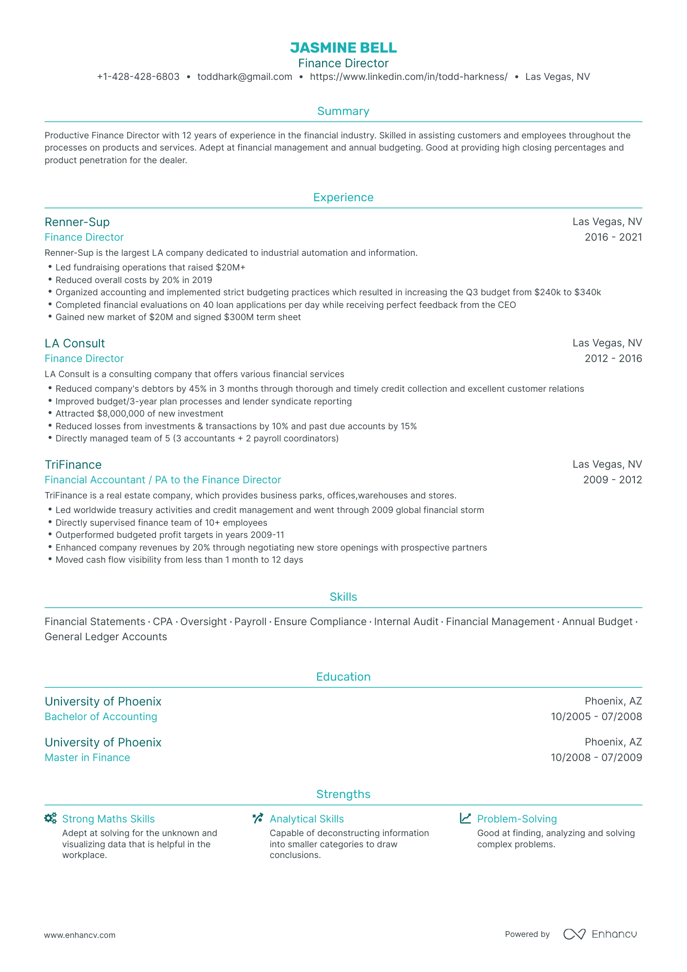 Traditional Finance Director Resume Template