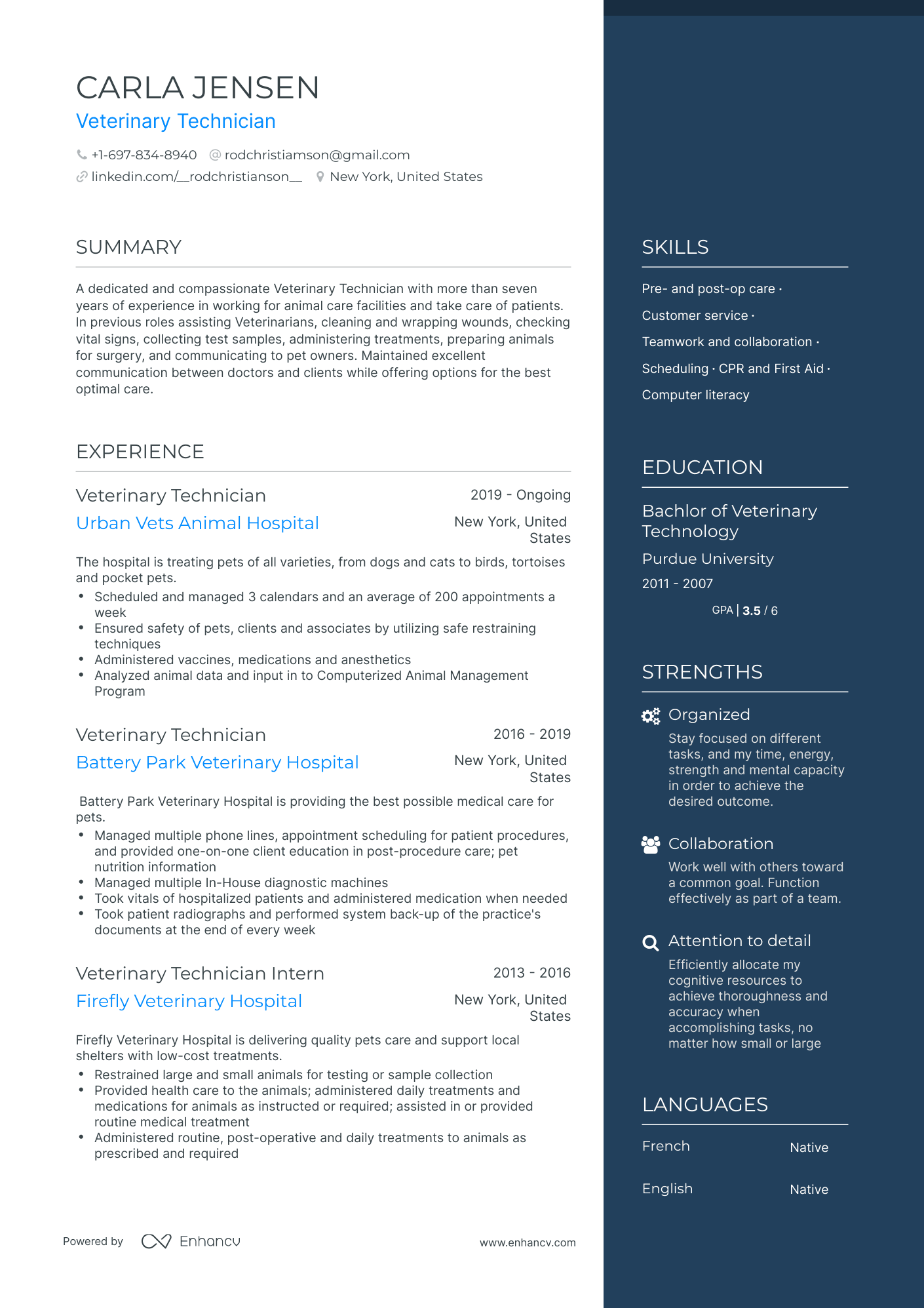 One Page Veterinary Technician Resume Template