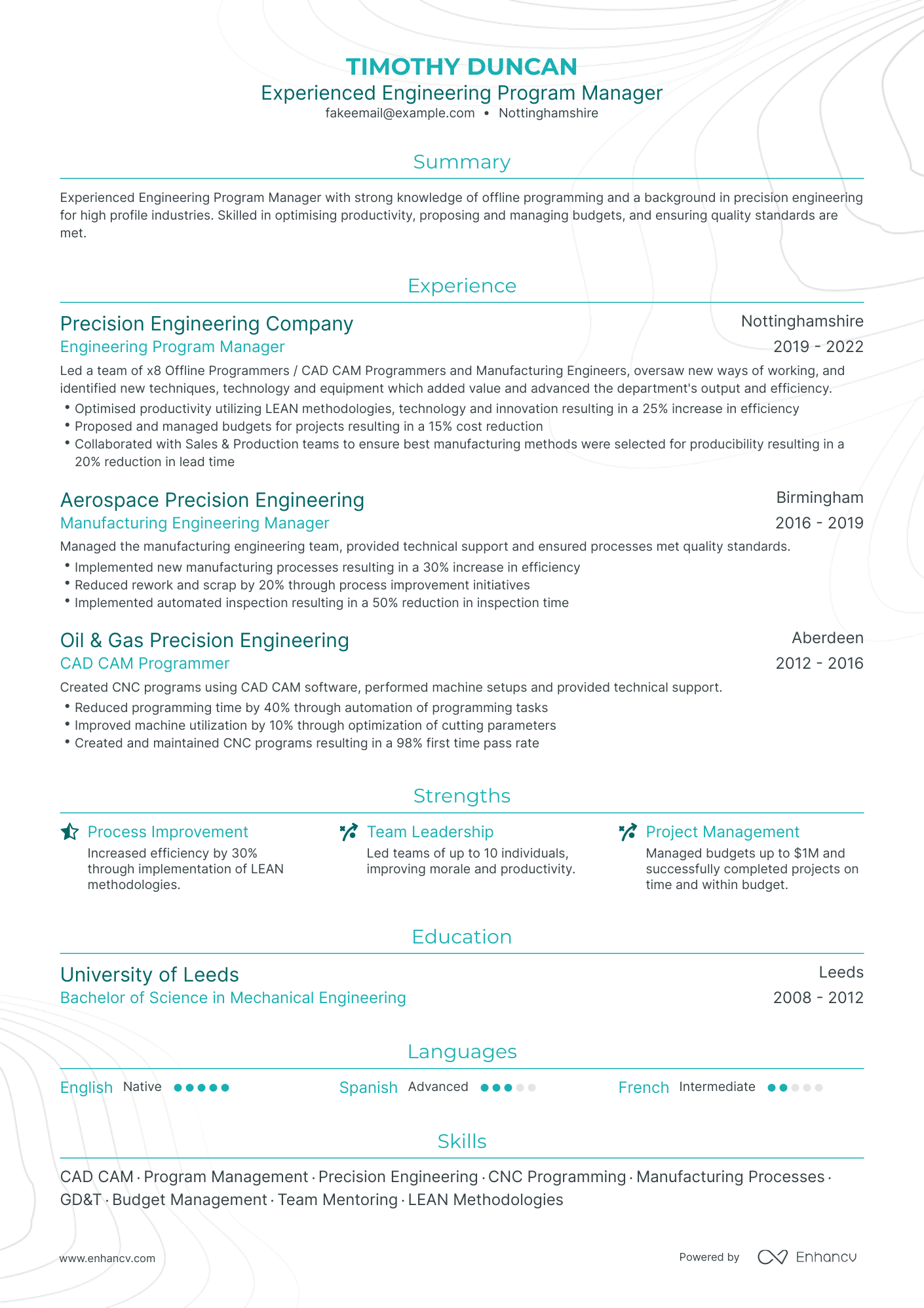 Traditional Engineering Program Manager Resume Template