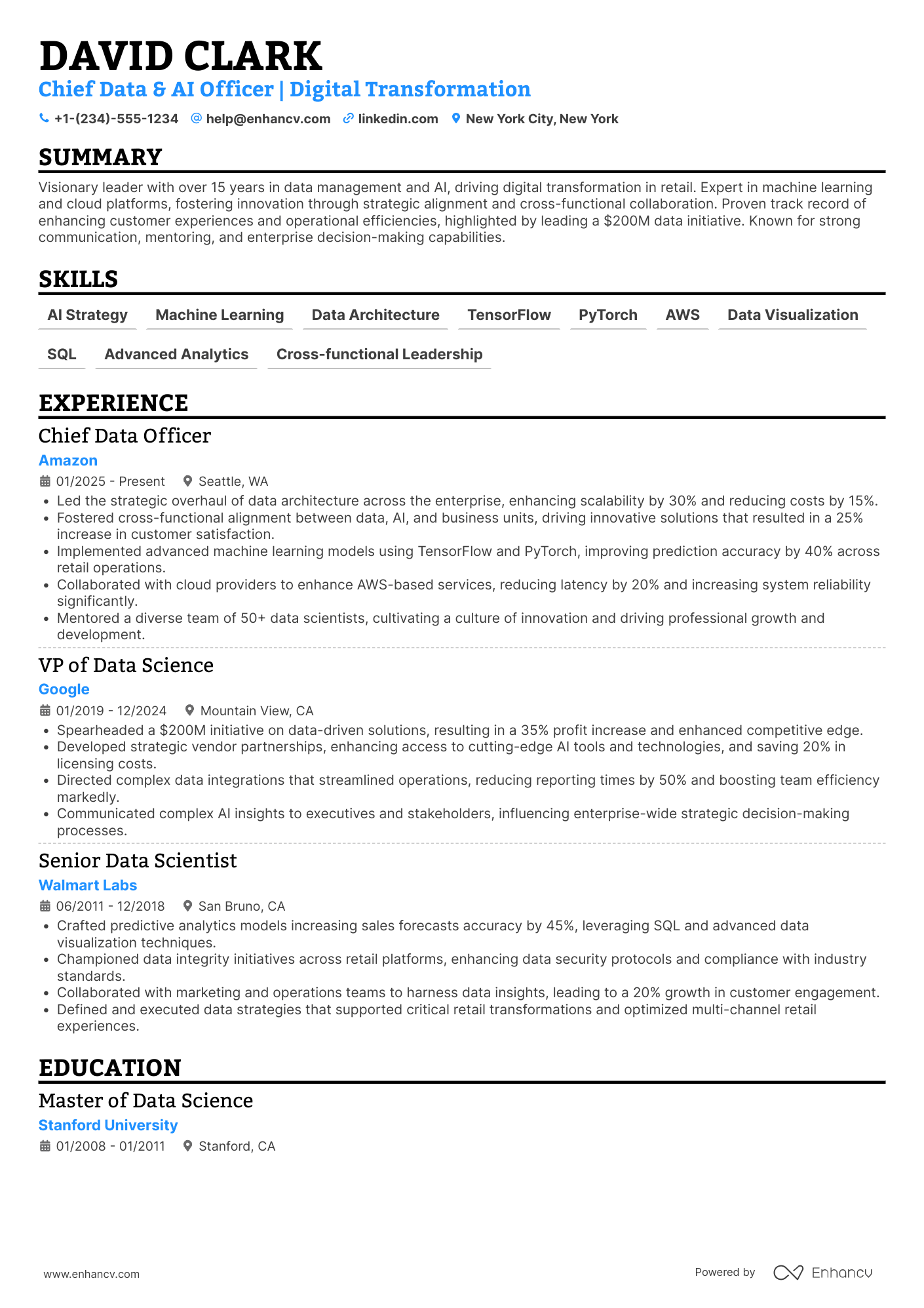 A resume example of a Chief Data and Artificial Intelligence Officer