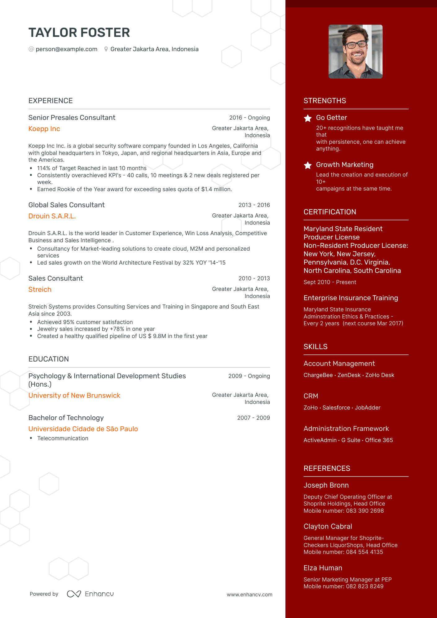 One Page Sales Consultant Resume Template