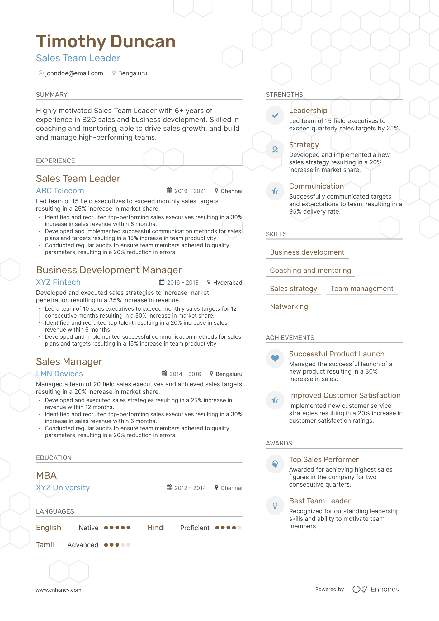 Modern Sales Team Leader Resume Template