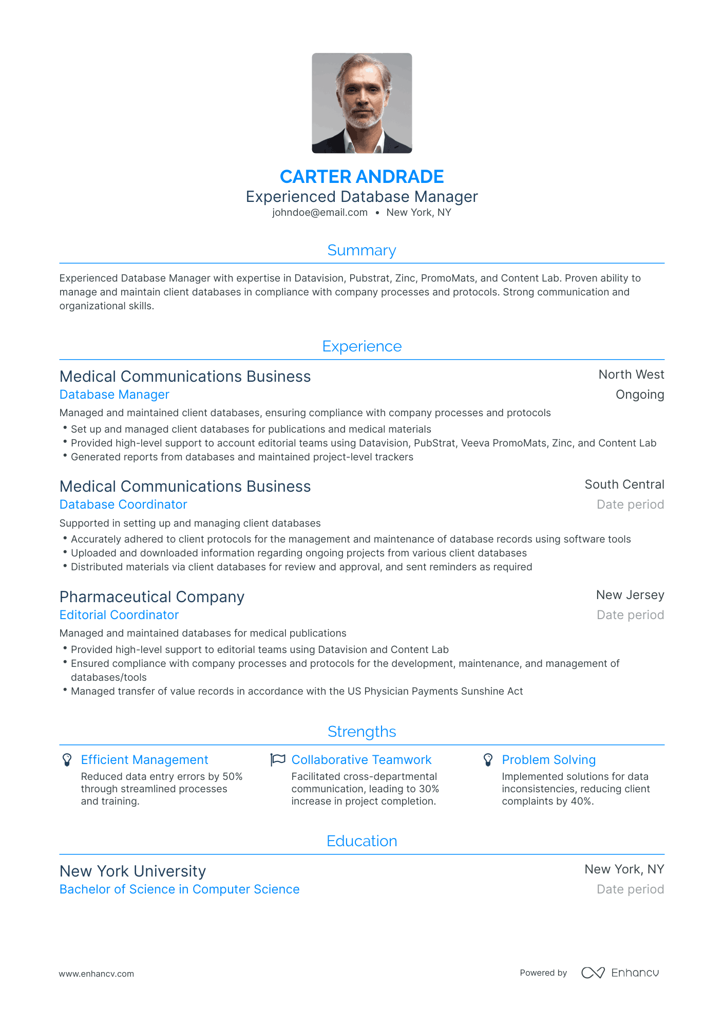 Traditional Database Manager Resume Template