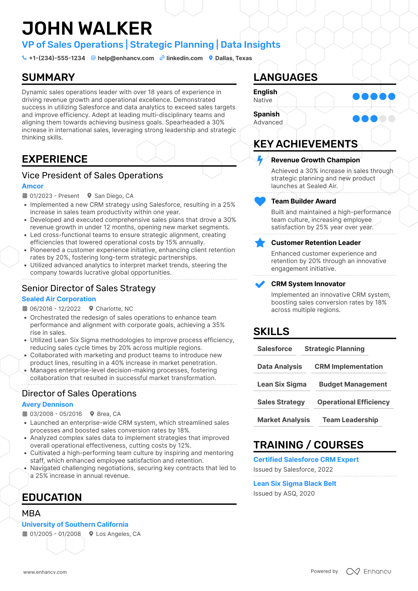 A resume example of a VP of Sales Operations