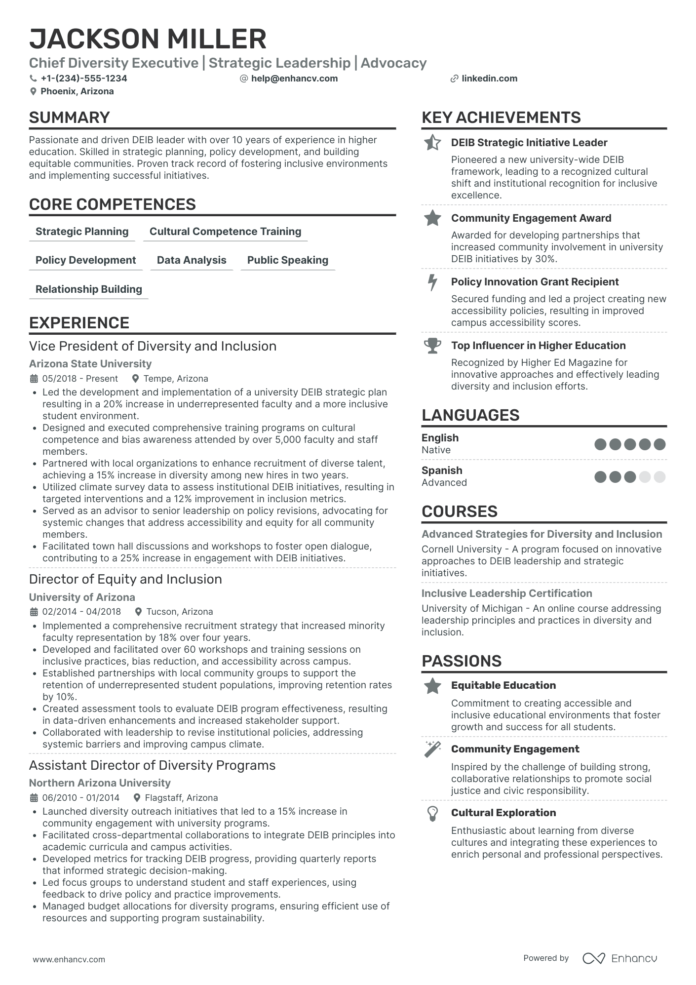 Chief Diversity Officer for Public Relations Resume Example