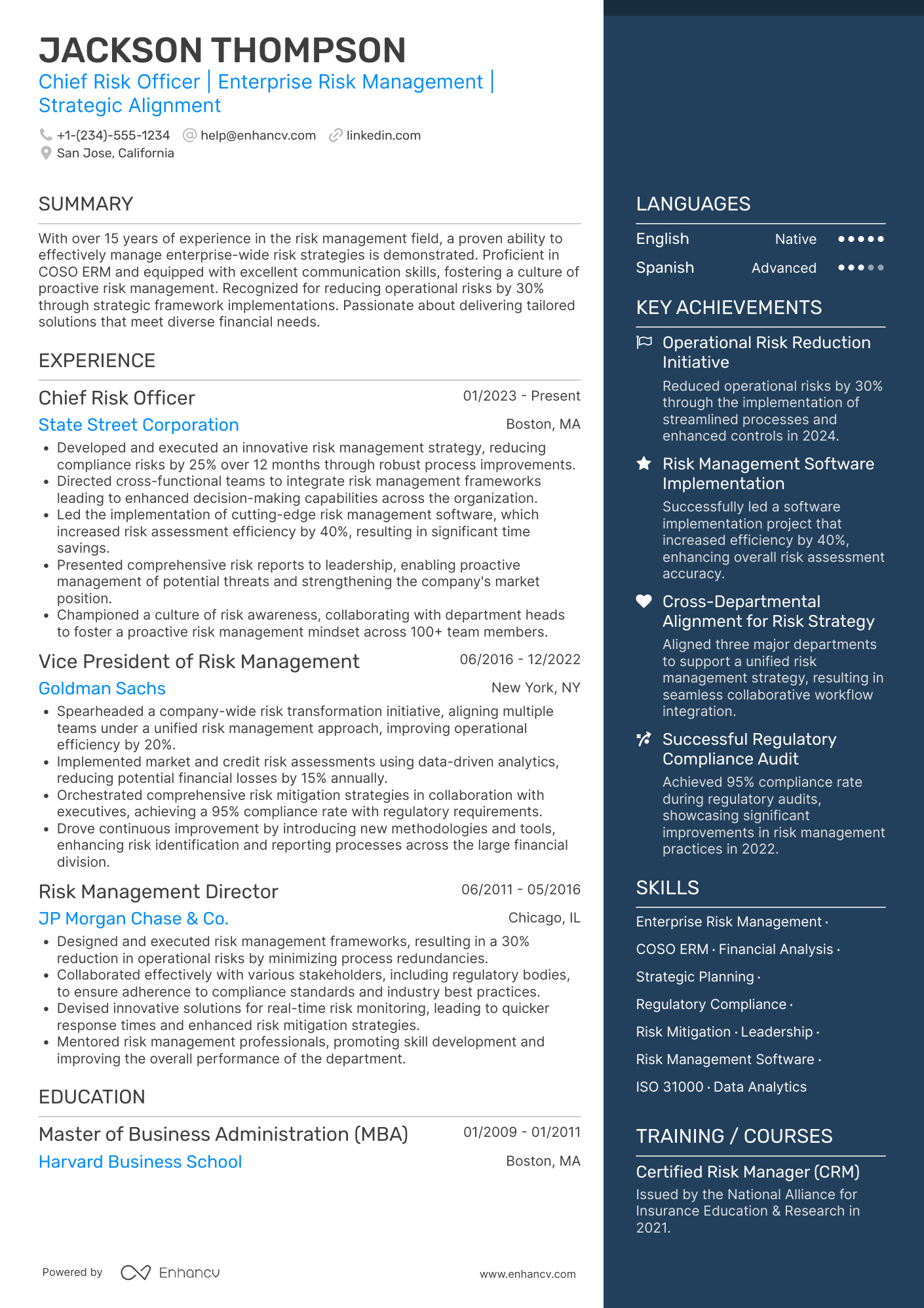 Chief Risk Officer Resume Example