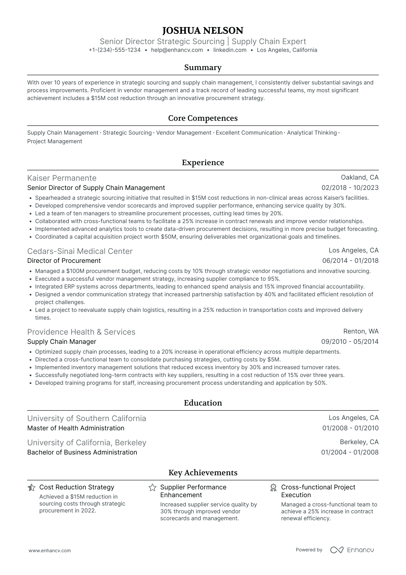 Chief Procurement Officer in Healthcare Resume Example