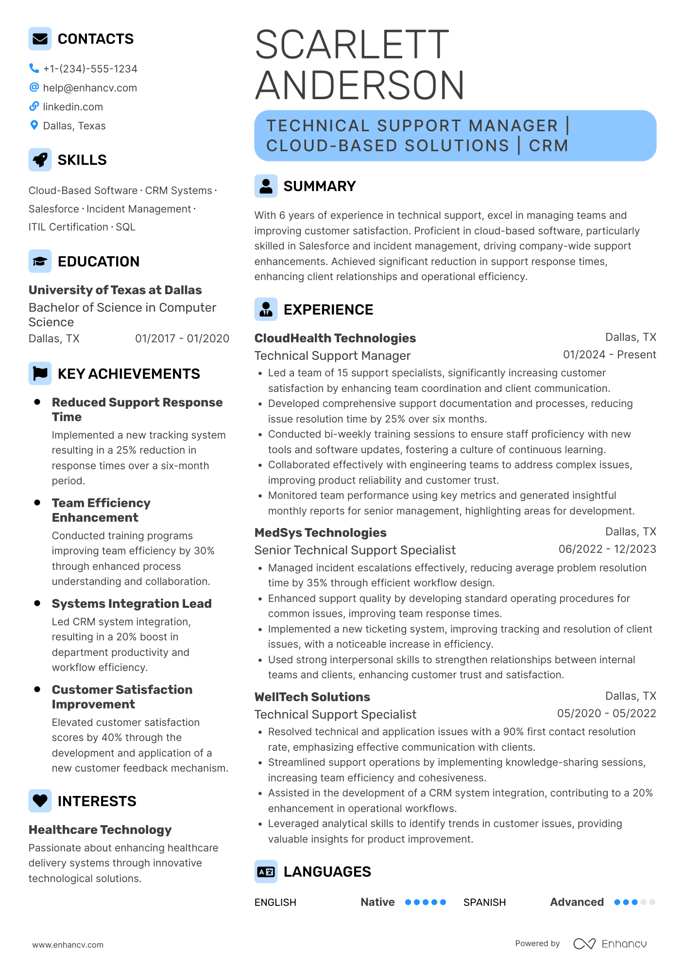 Technical Support Manager Resume Example