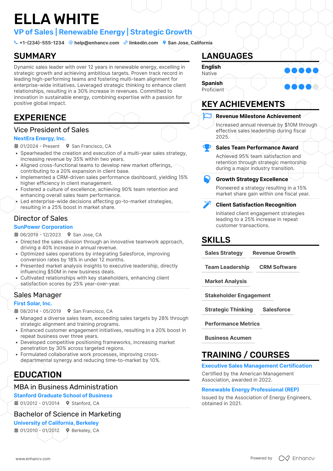 Vice President of Sales Resume Example