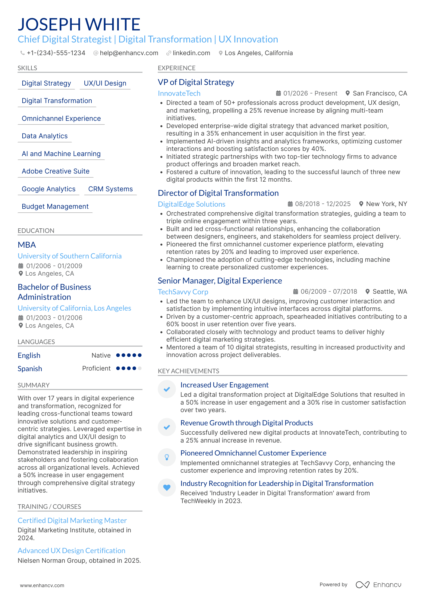 Chief Digital Experience Officer Resume Example