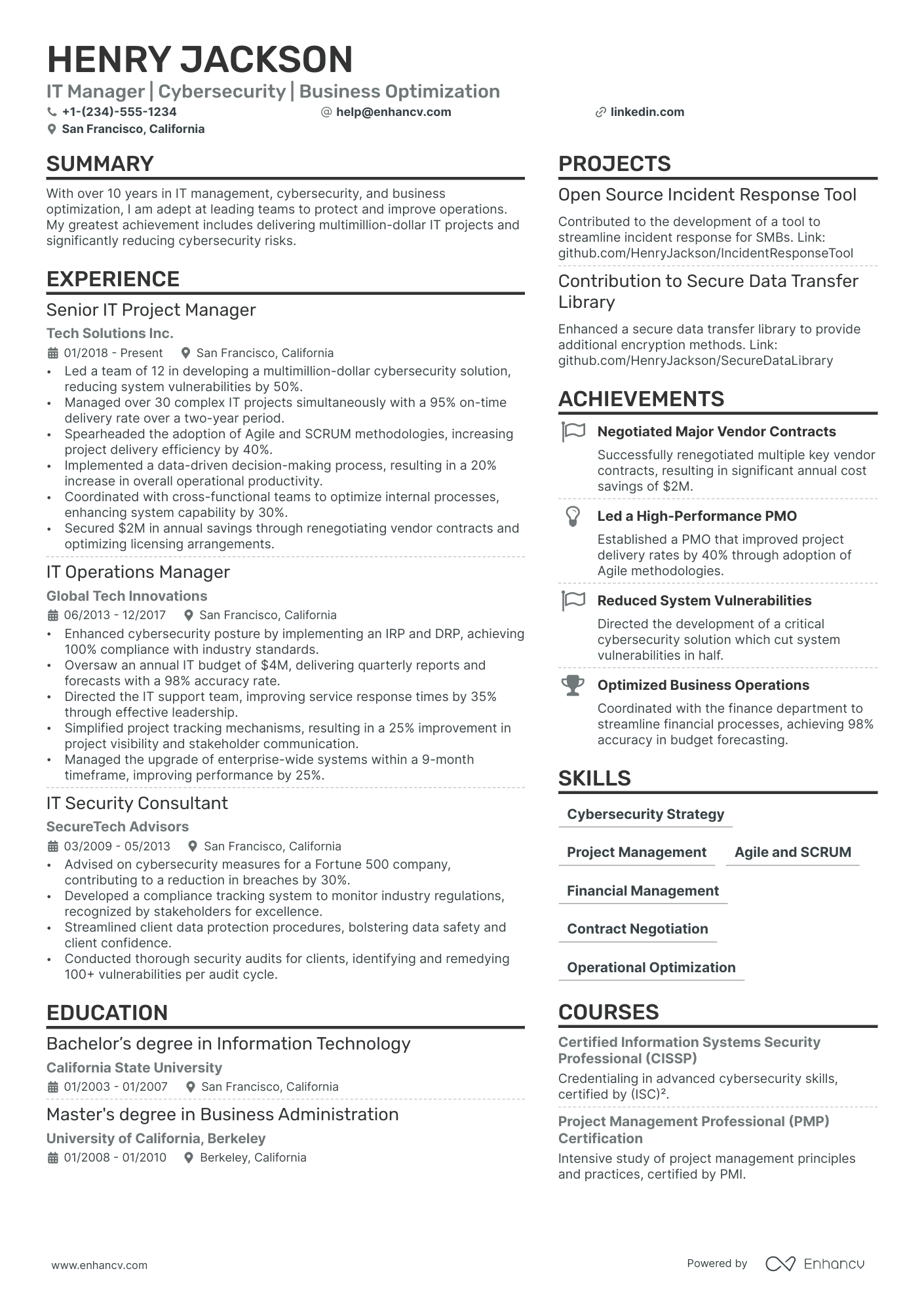 Technology Manager Resume Example