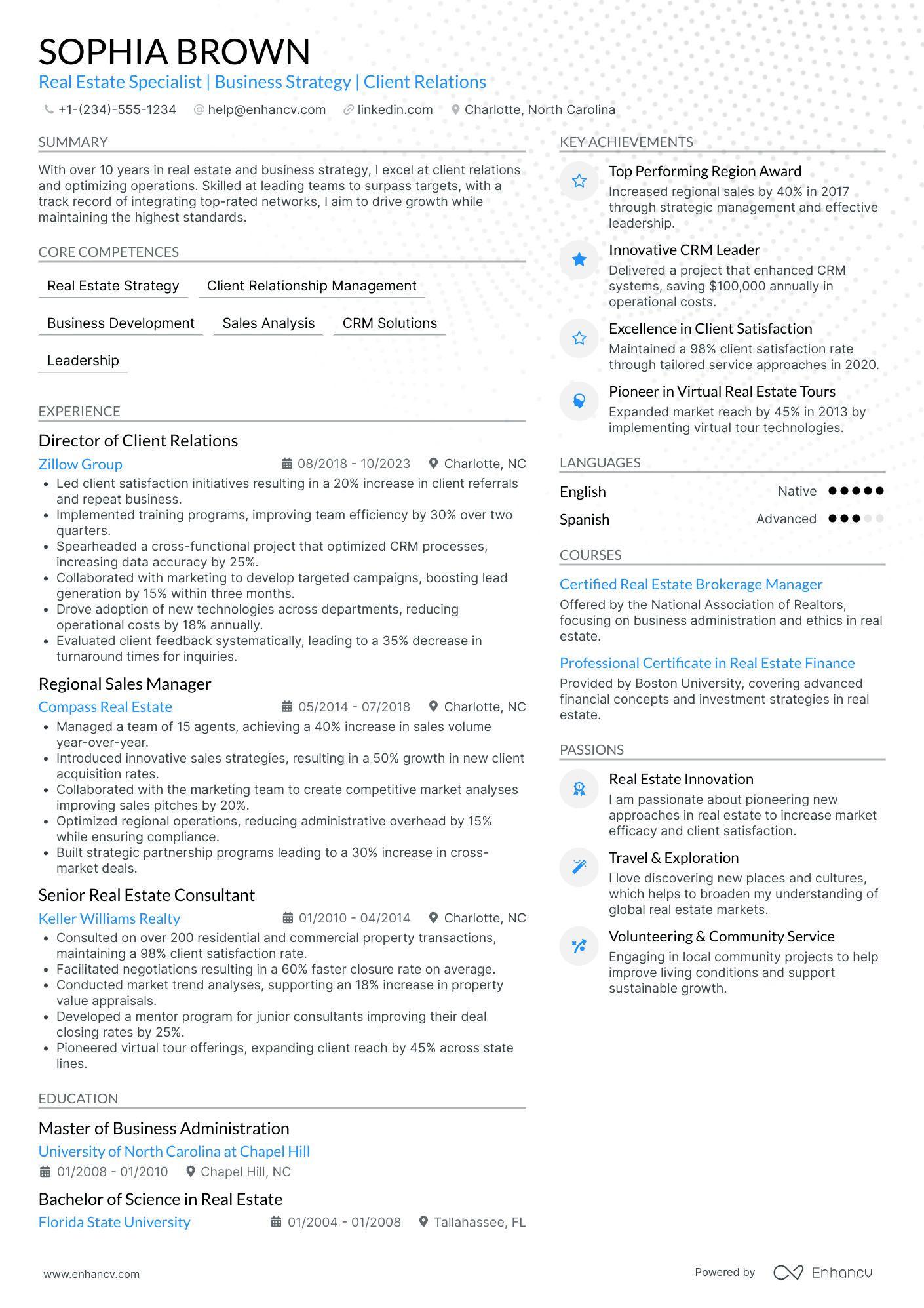 Chief Executive Officer in Real Estate Resume Example