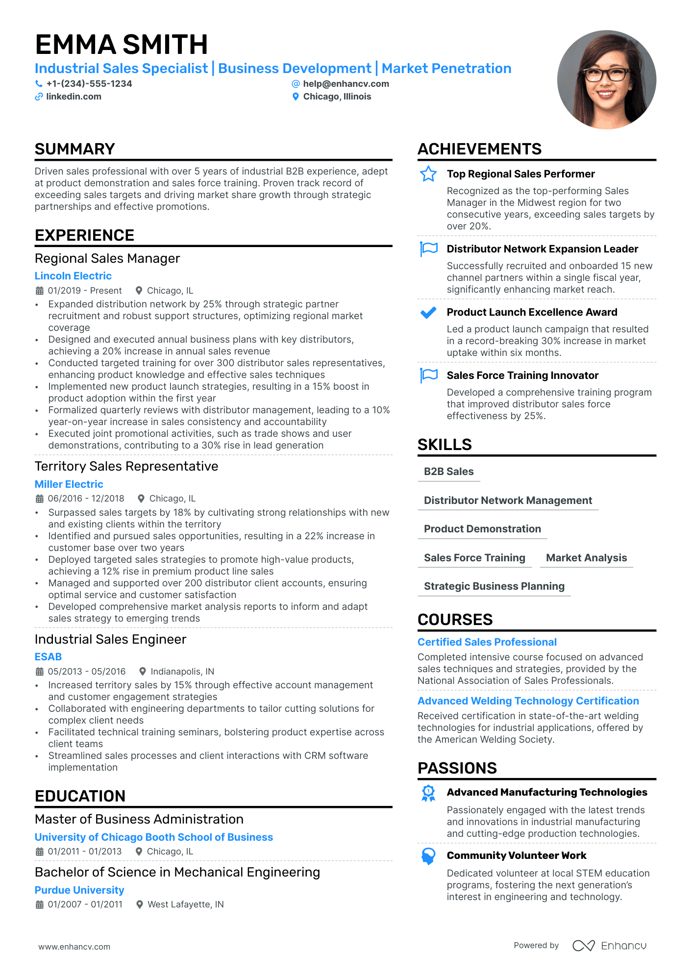 Distribution Sales Manager Resume Example