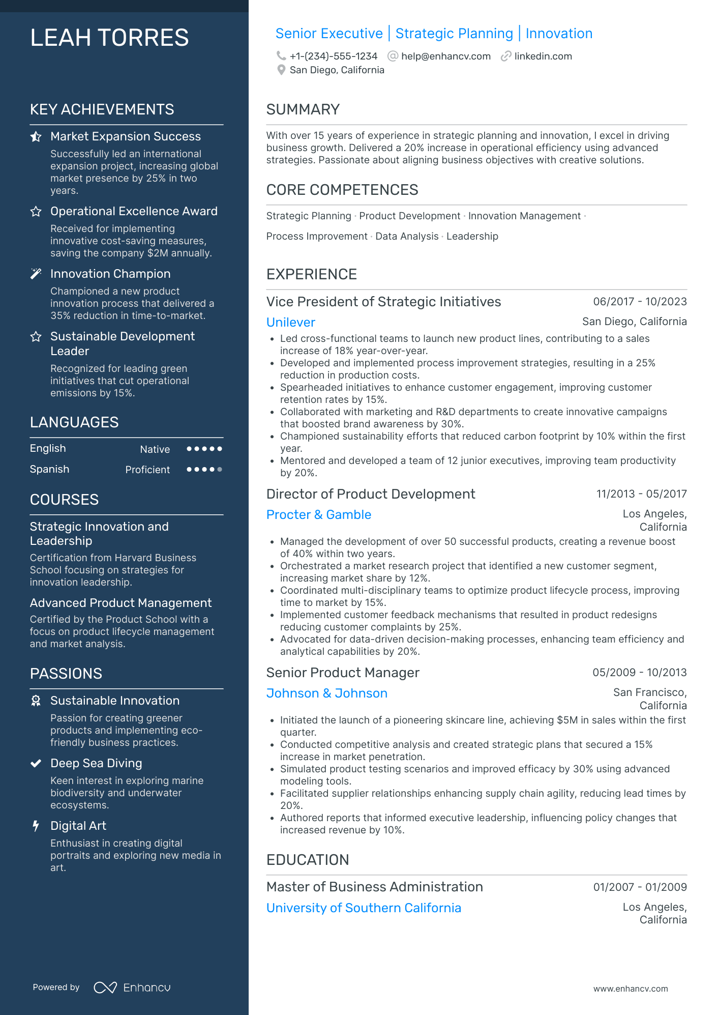 Chief Data Strategy Officer Resume Example
