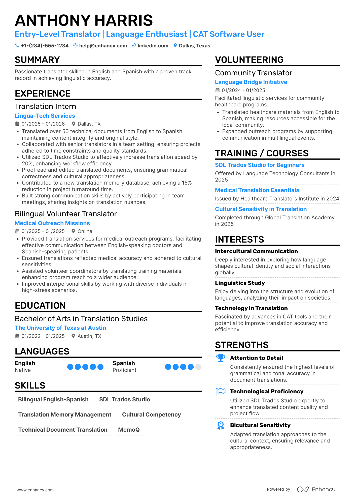 Entry Level Translator Resume Example
