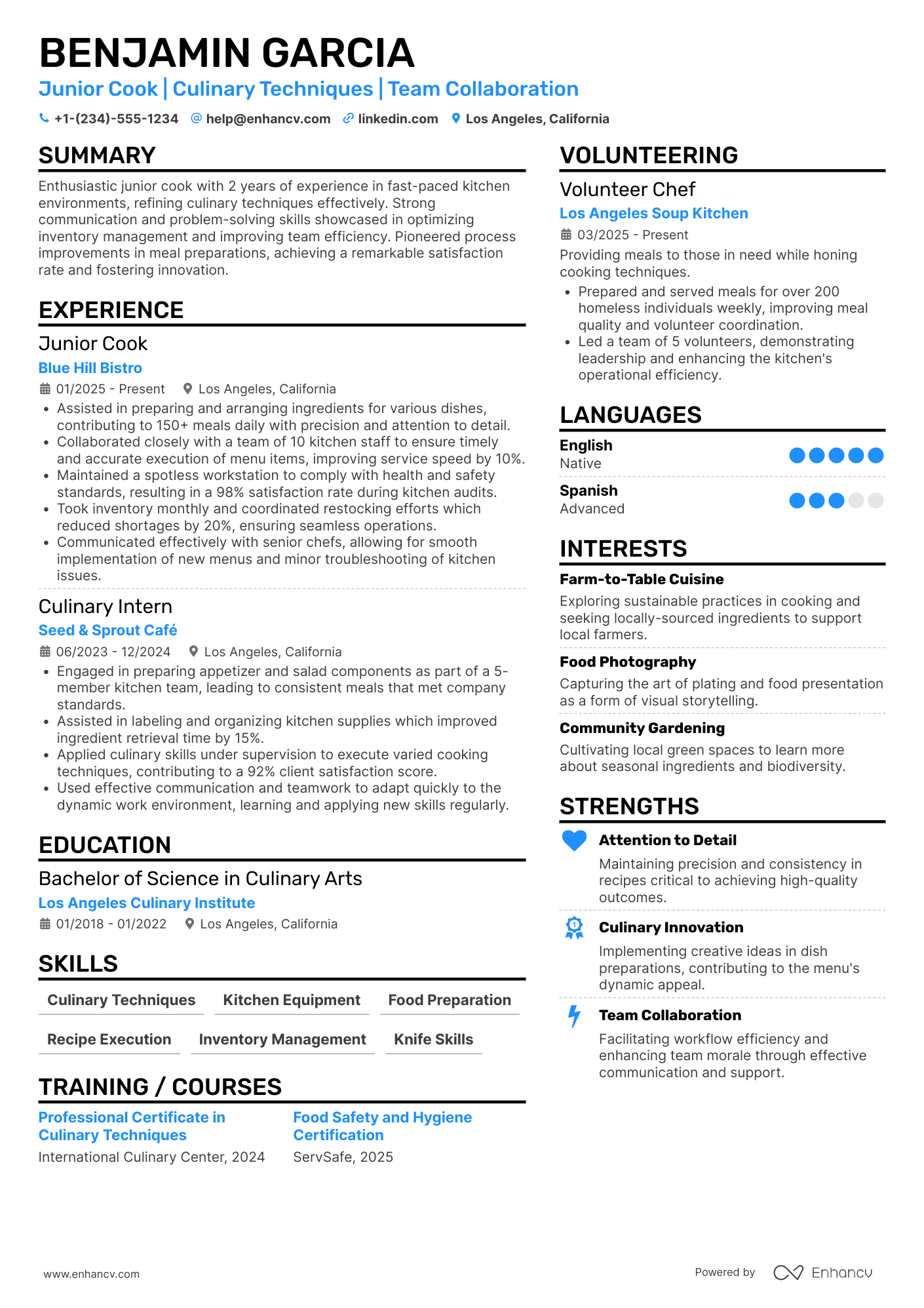 Junior Cook Resume Example