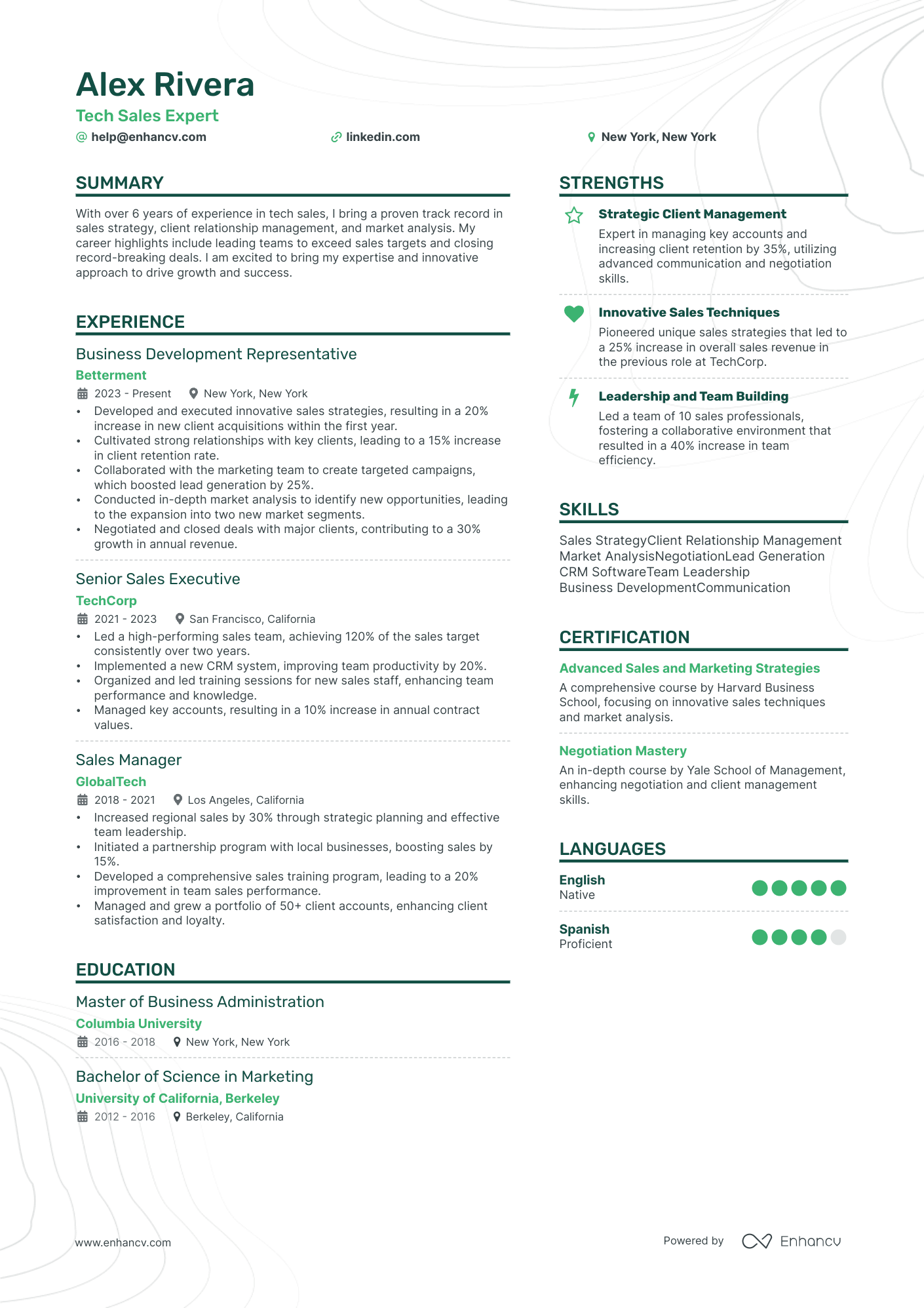 Tech Sales Resume Example
