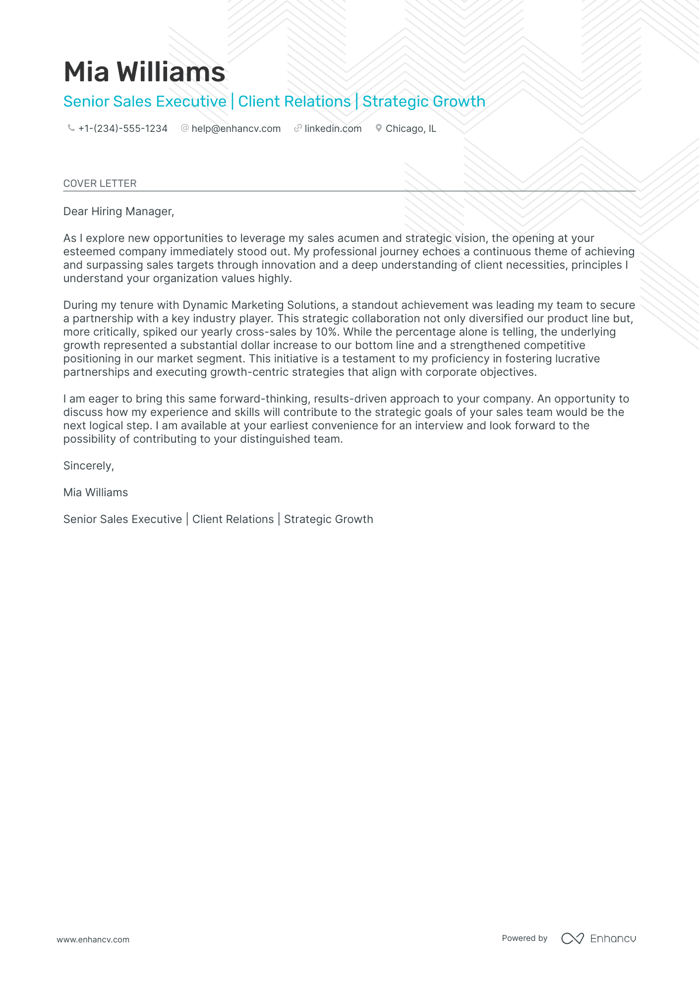 Sales Account Executive Resume Example