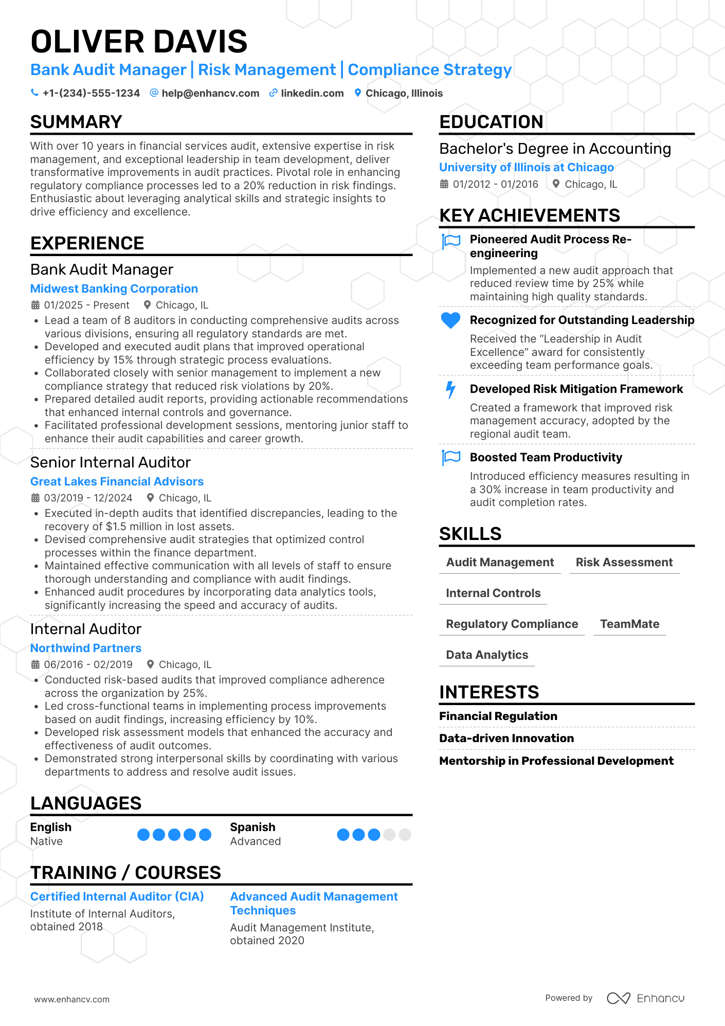 Bank Audit Manager Resume Example