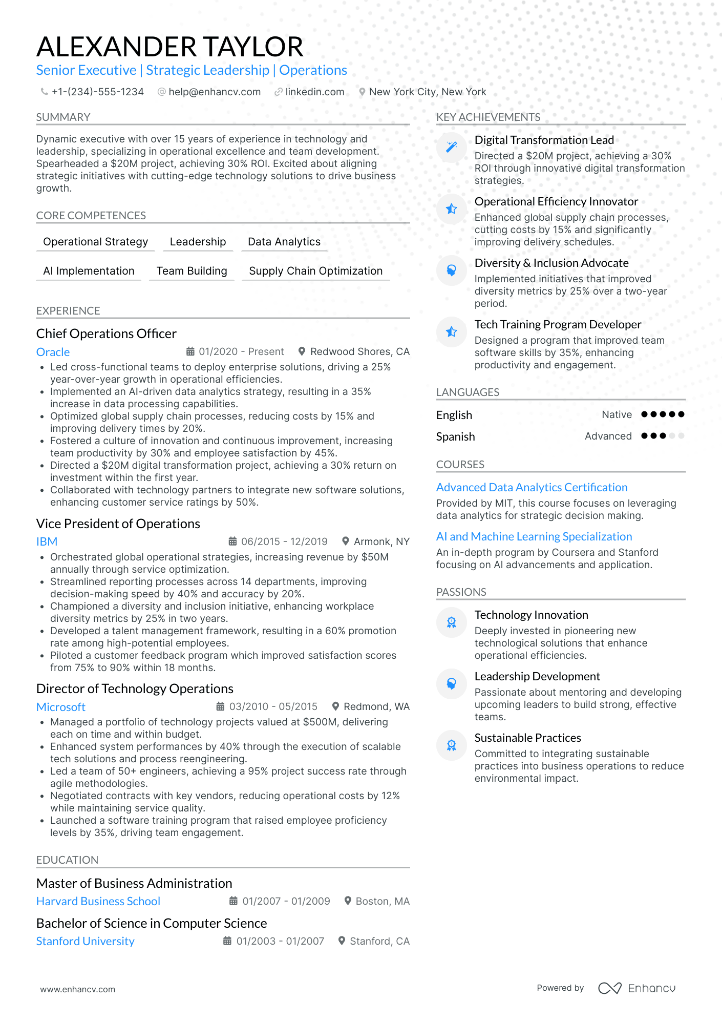 Chief Growth Officer in Fintech Resume Example