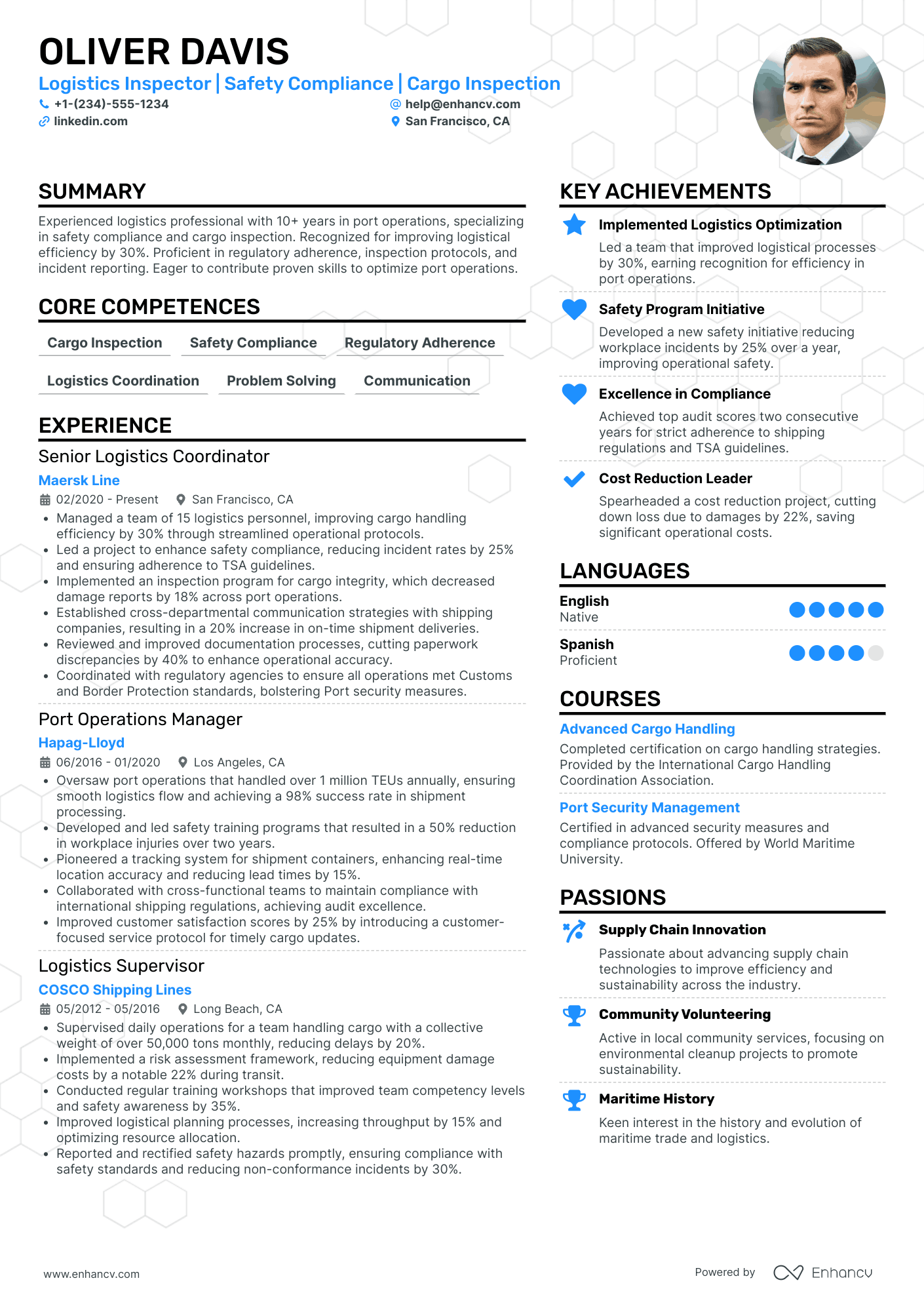 Chief Logistics Officer Resume Example
