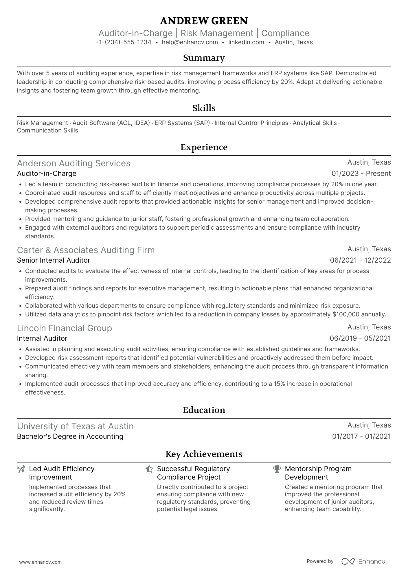 Auditor in Charge Resume Example