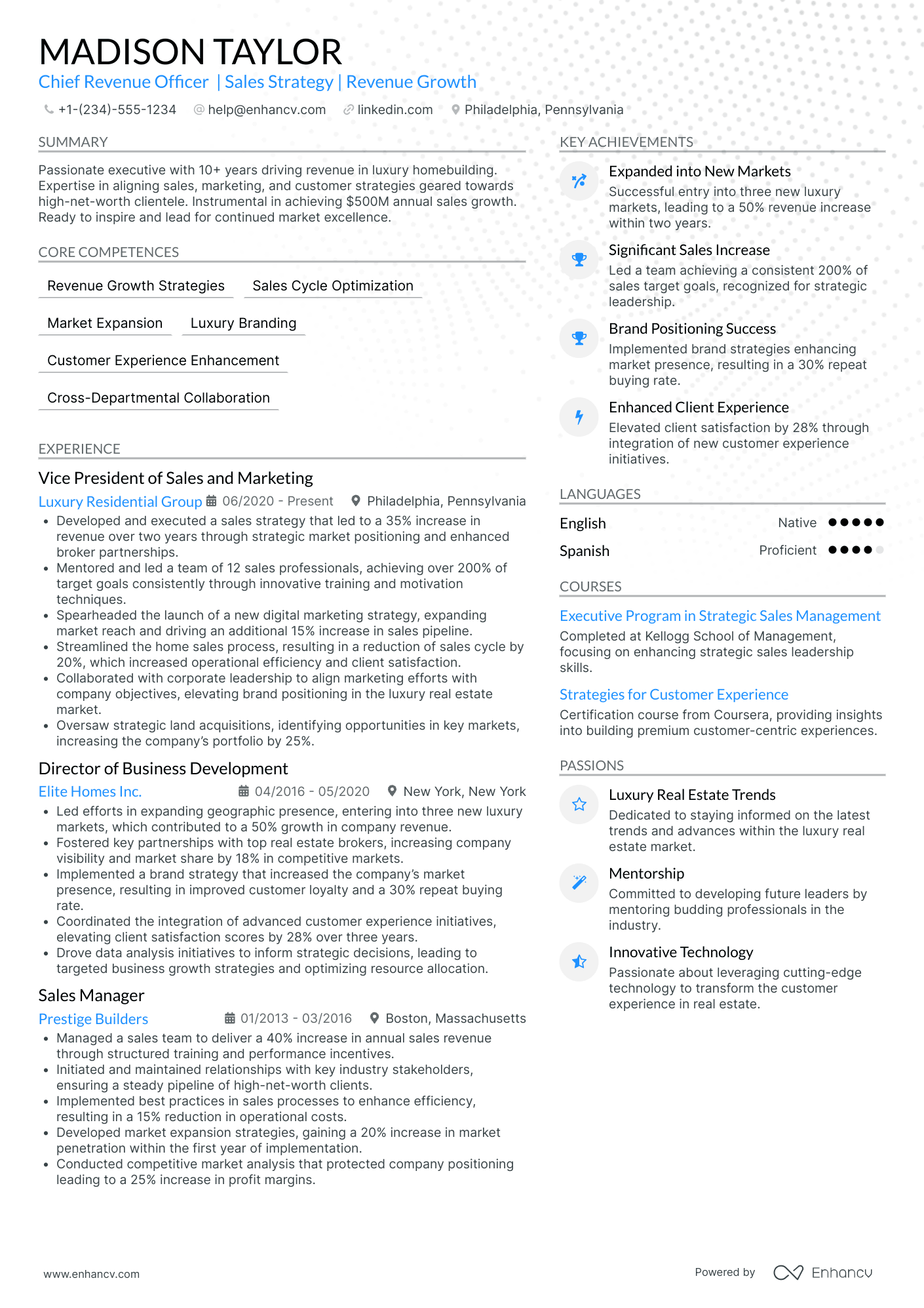 Chief Revenue and Financial Officer Resume Example