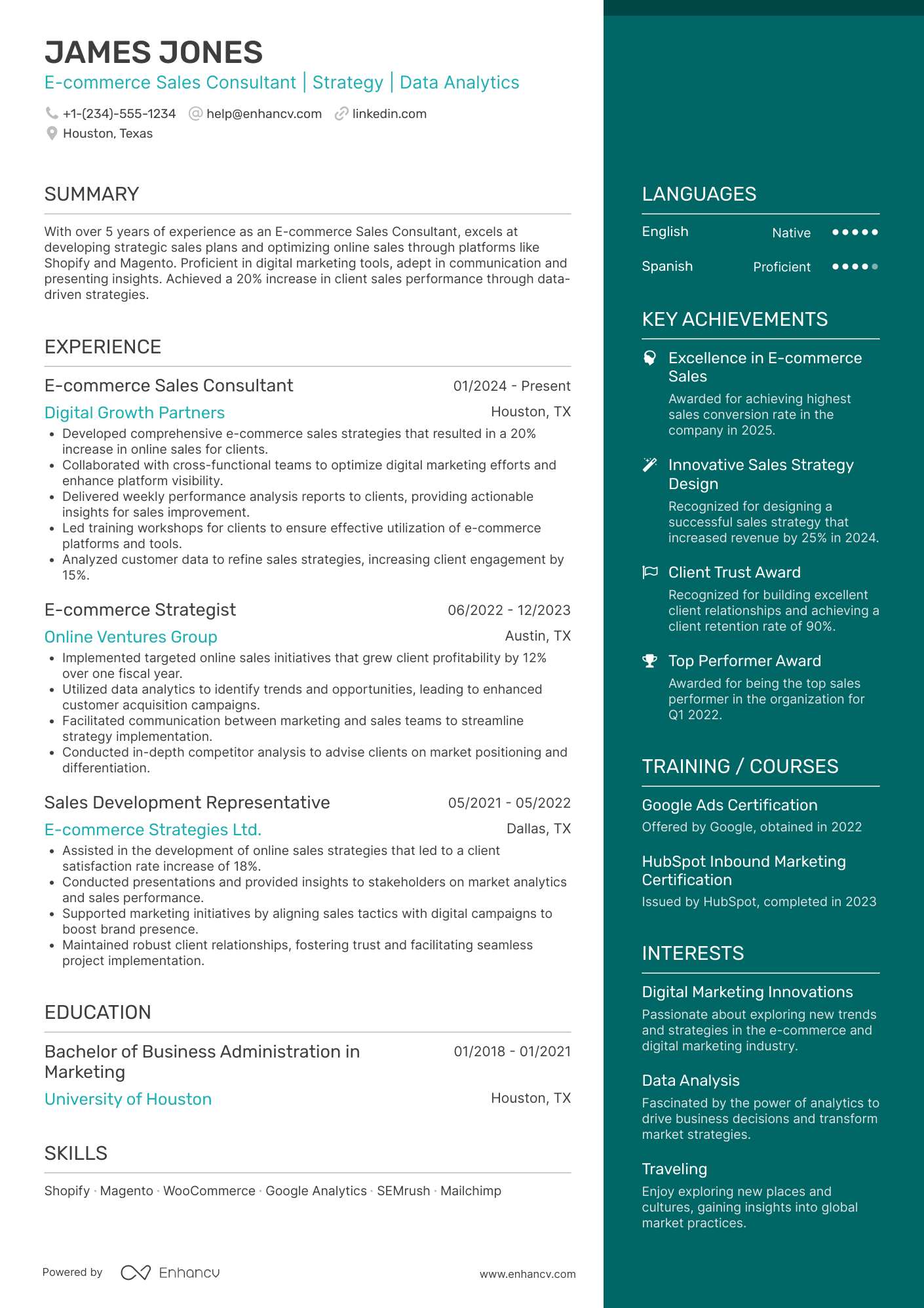 E commerce Sales Consultant Resume Example