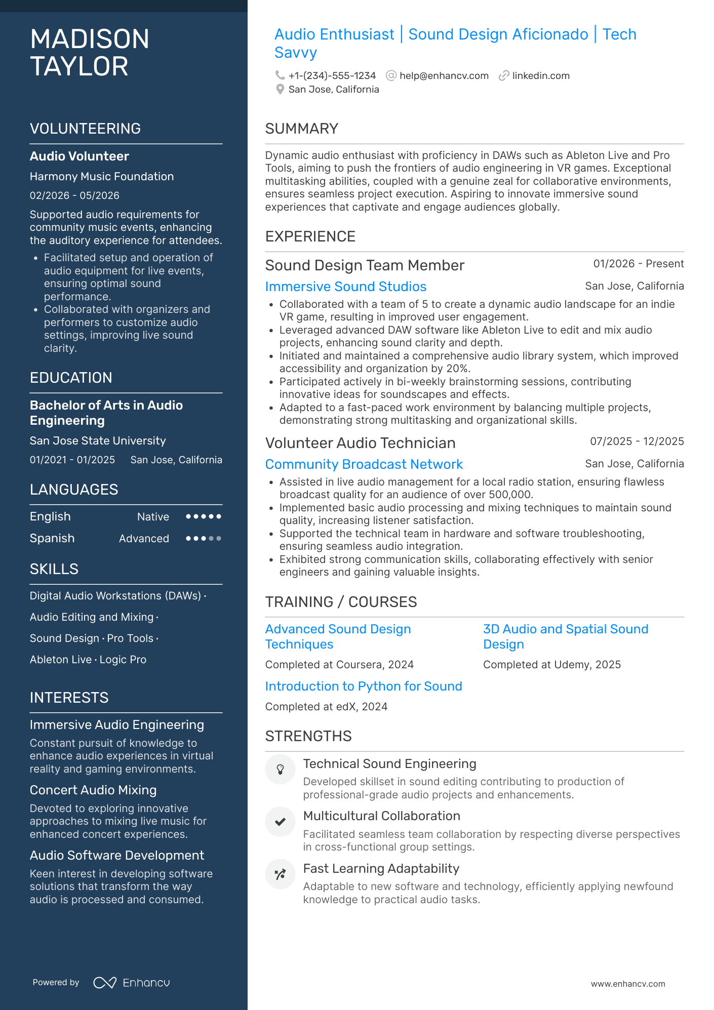 Audio Engineer Intern Resume Example