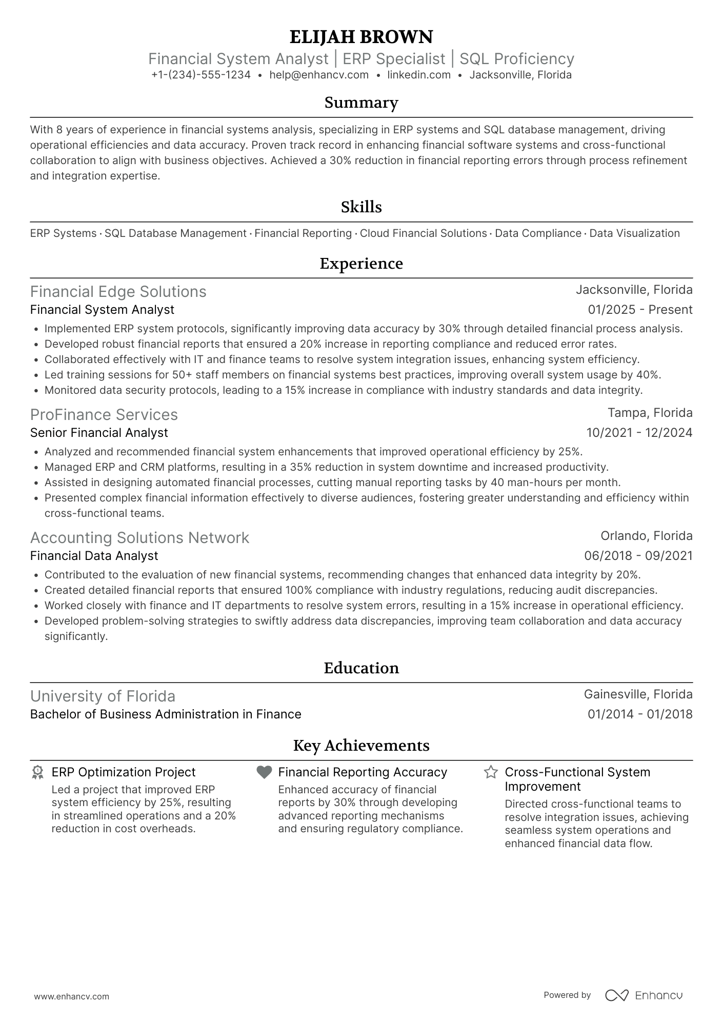 Financial System Analyst Resume Example