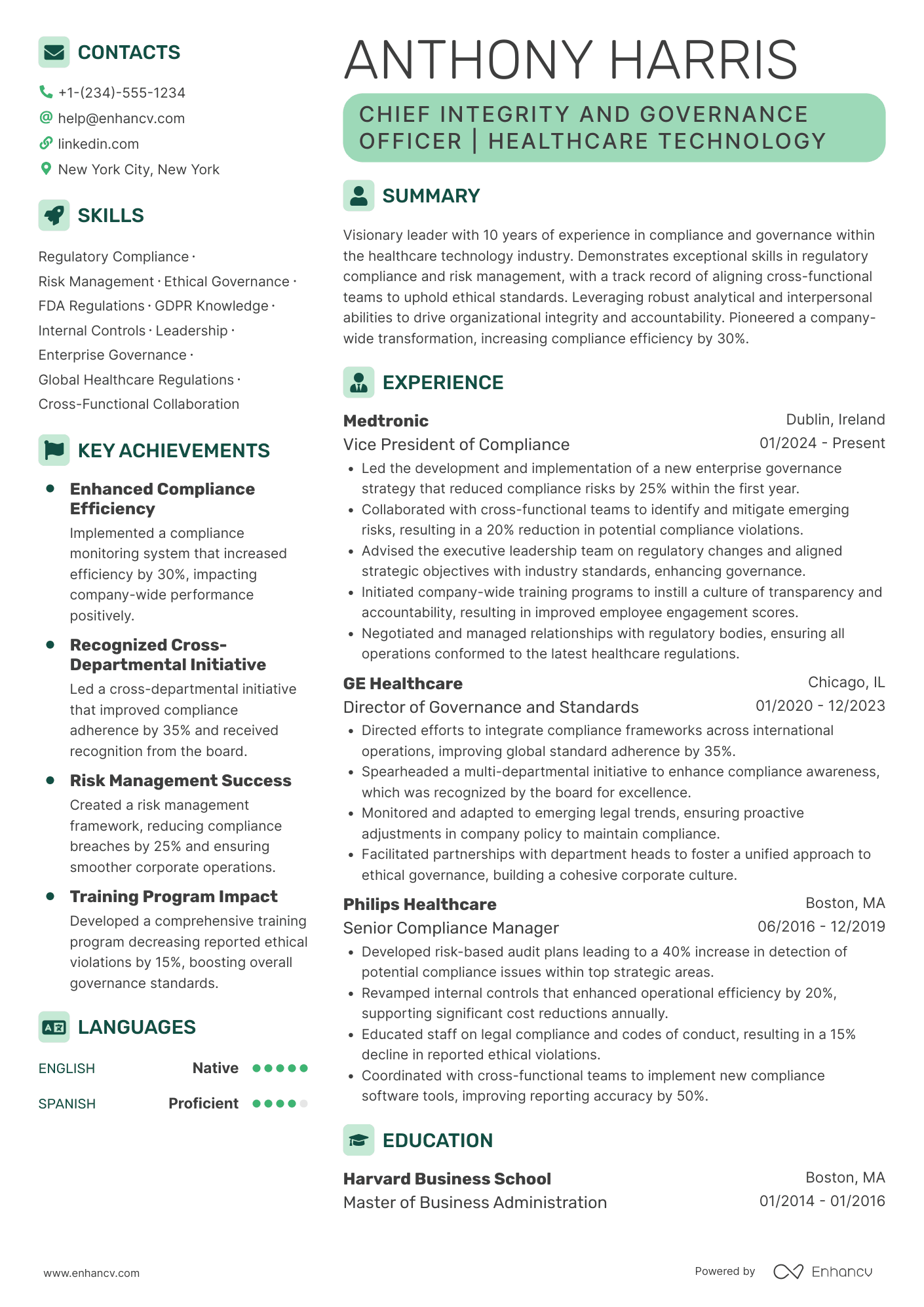 Chief Integrity and Governance Officer Resume Example