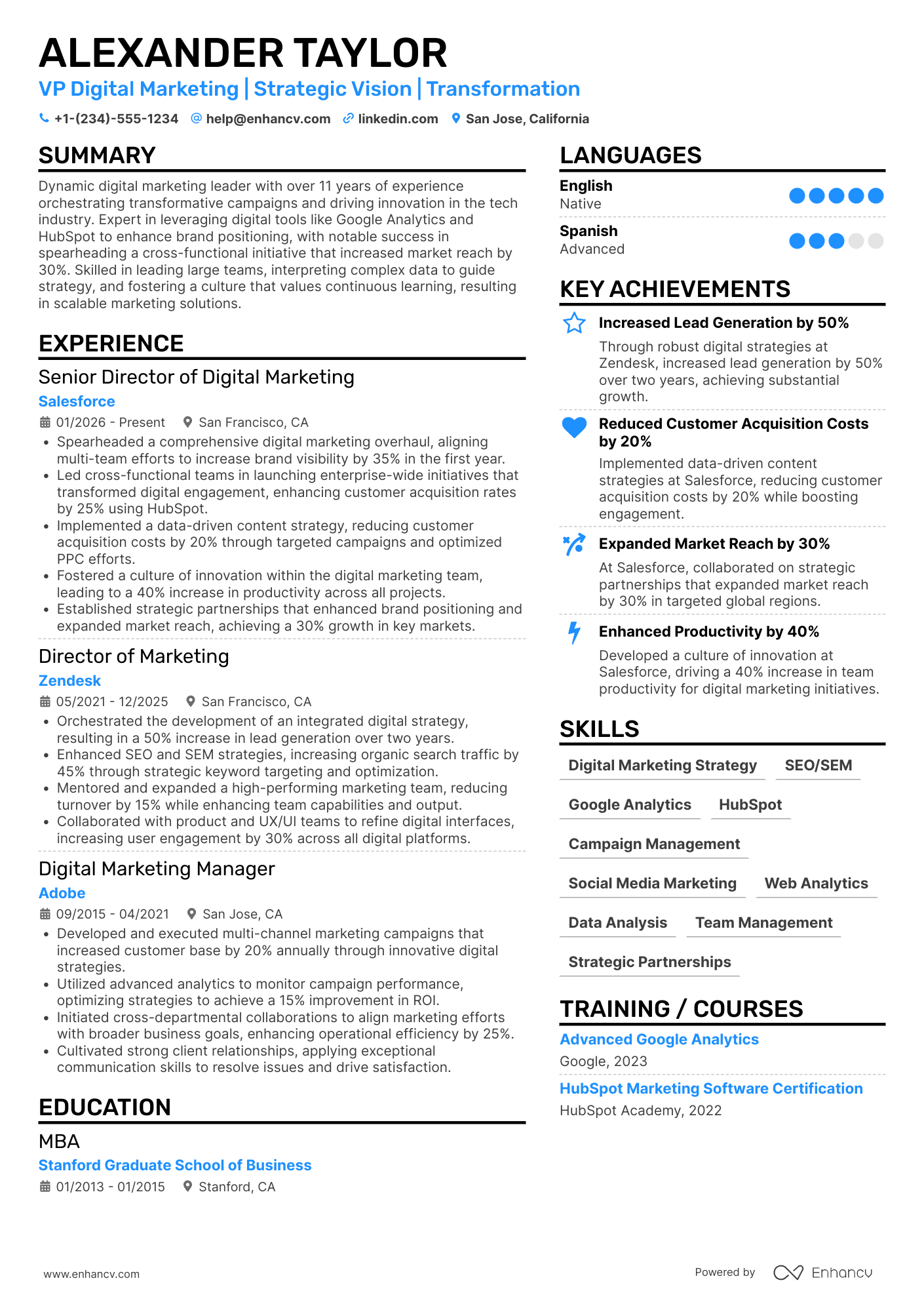 VP Digital Marketing Resume Example