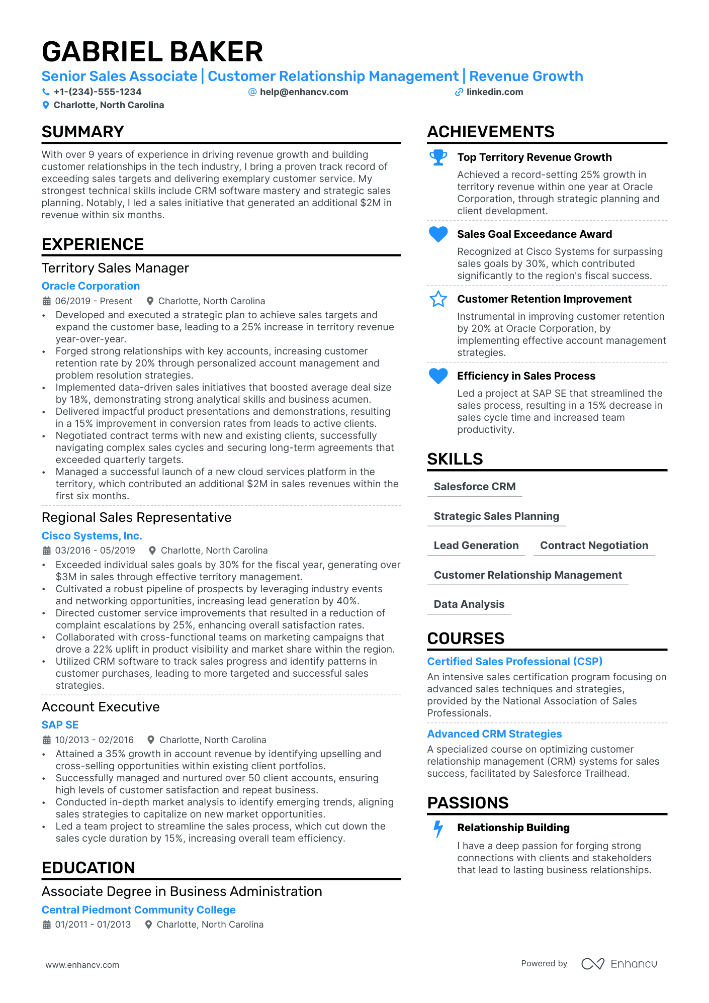 Luxury Sales Resume Example