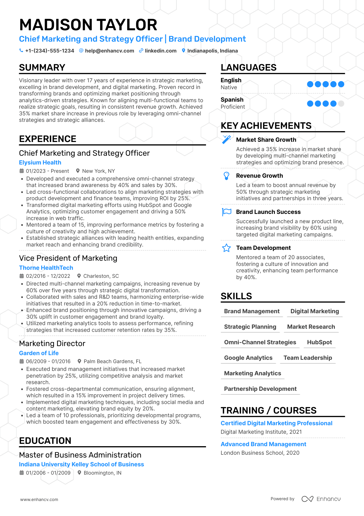 Chief Marketing and Strategy Officer Resume Example