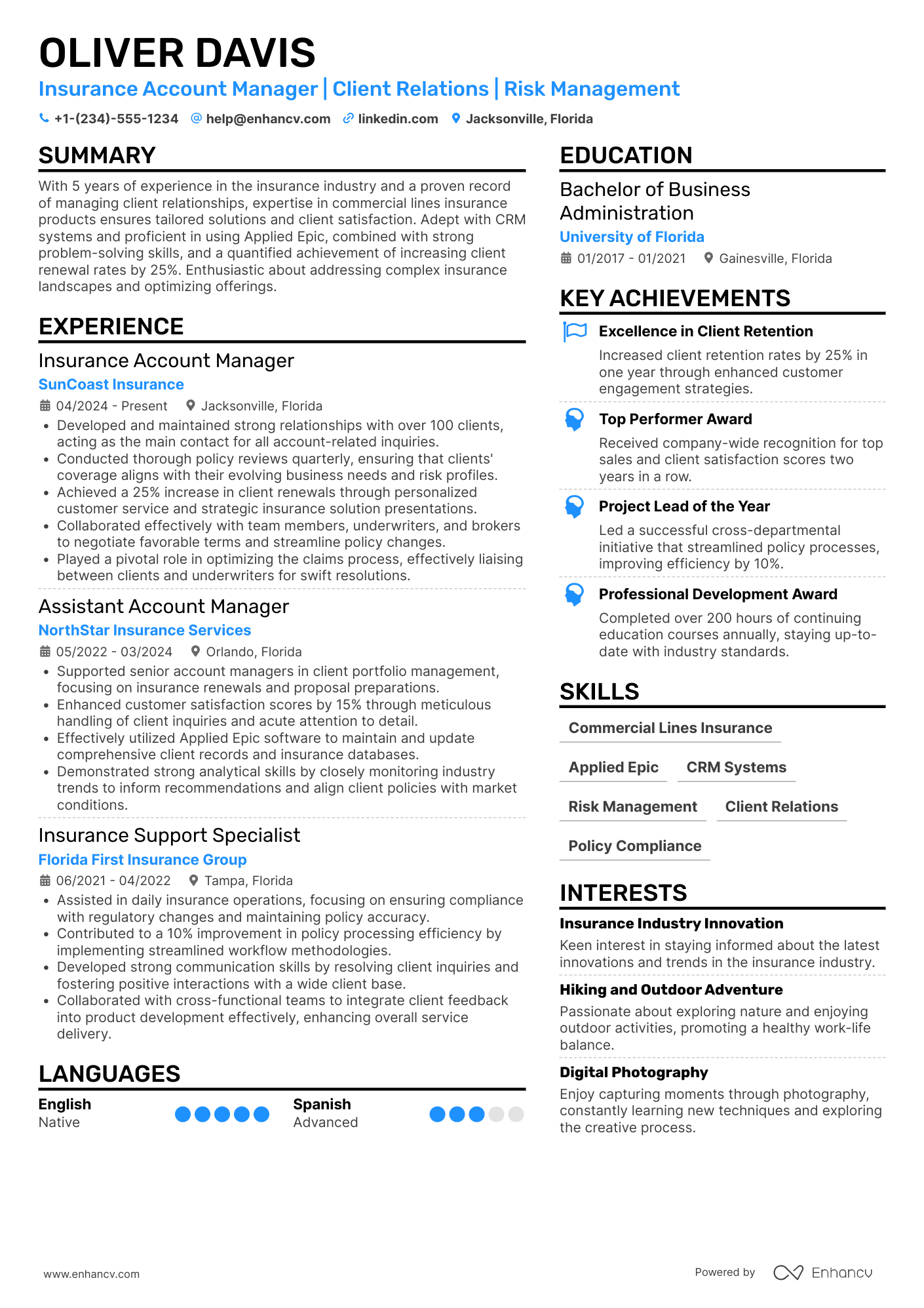 Insurance Account Manager Resume Example