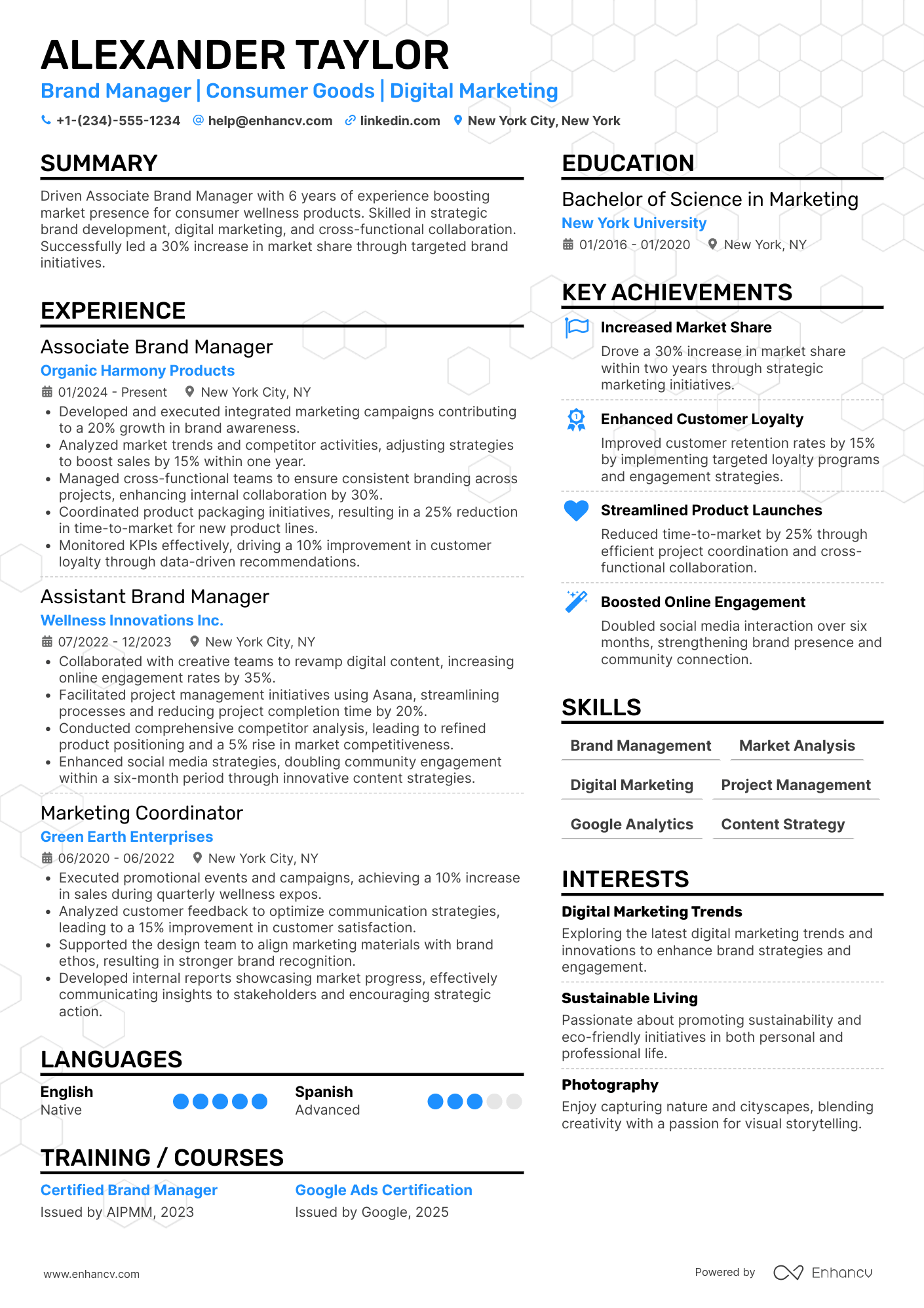 Associate Brand Manager Resume Example