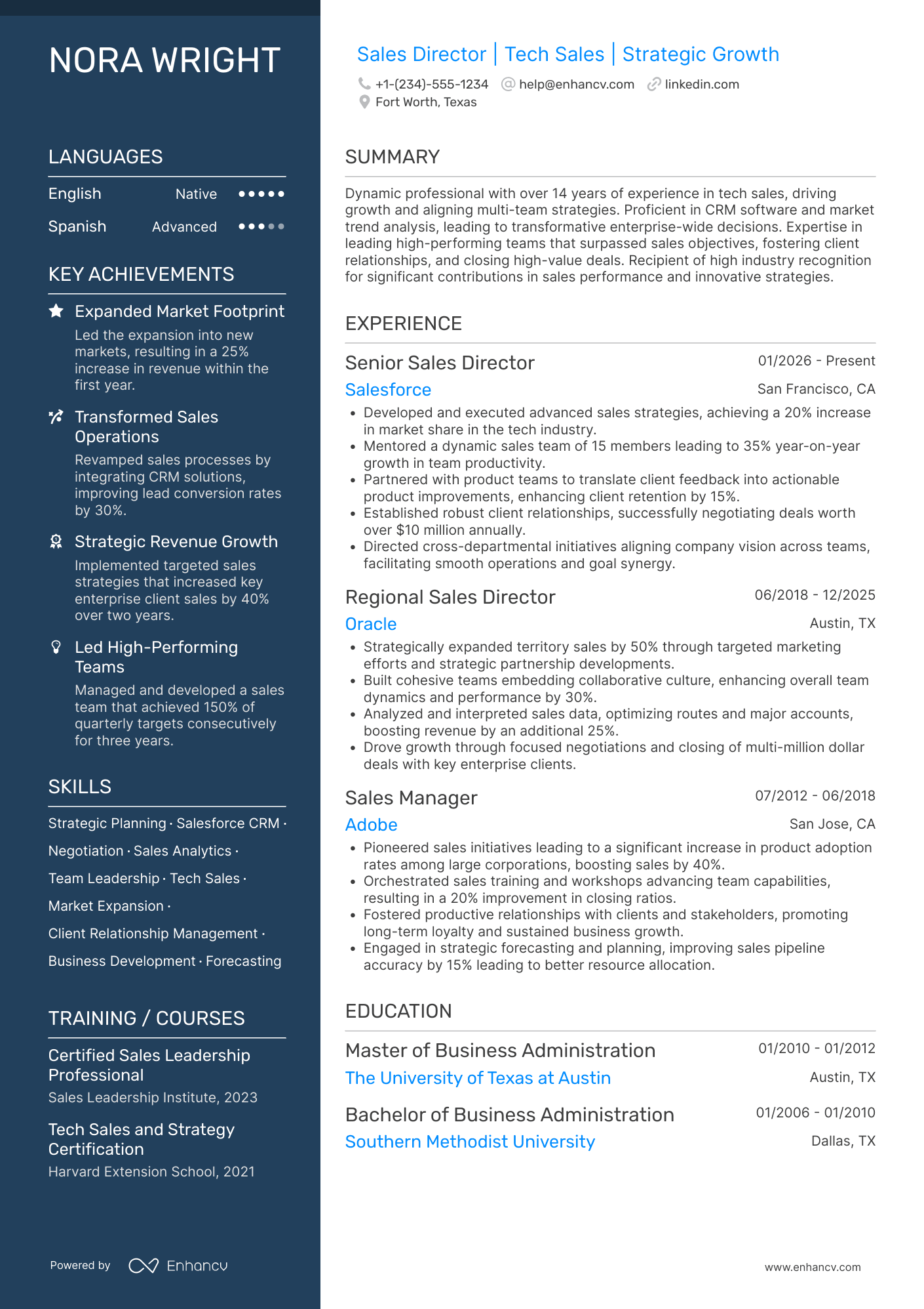 Tech Sales Director Resume Example