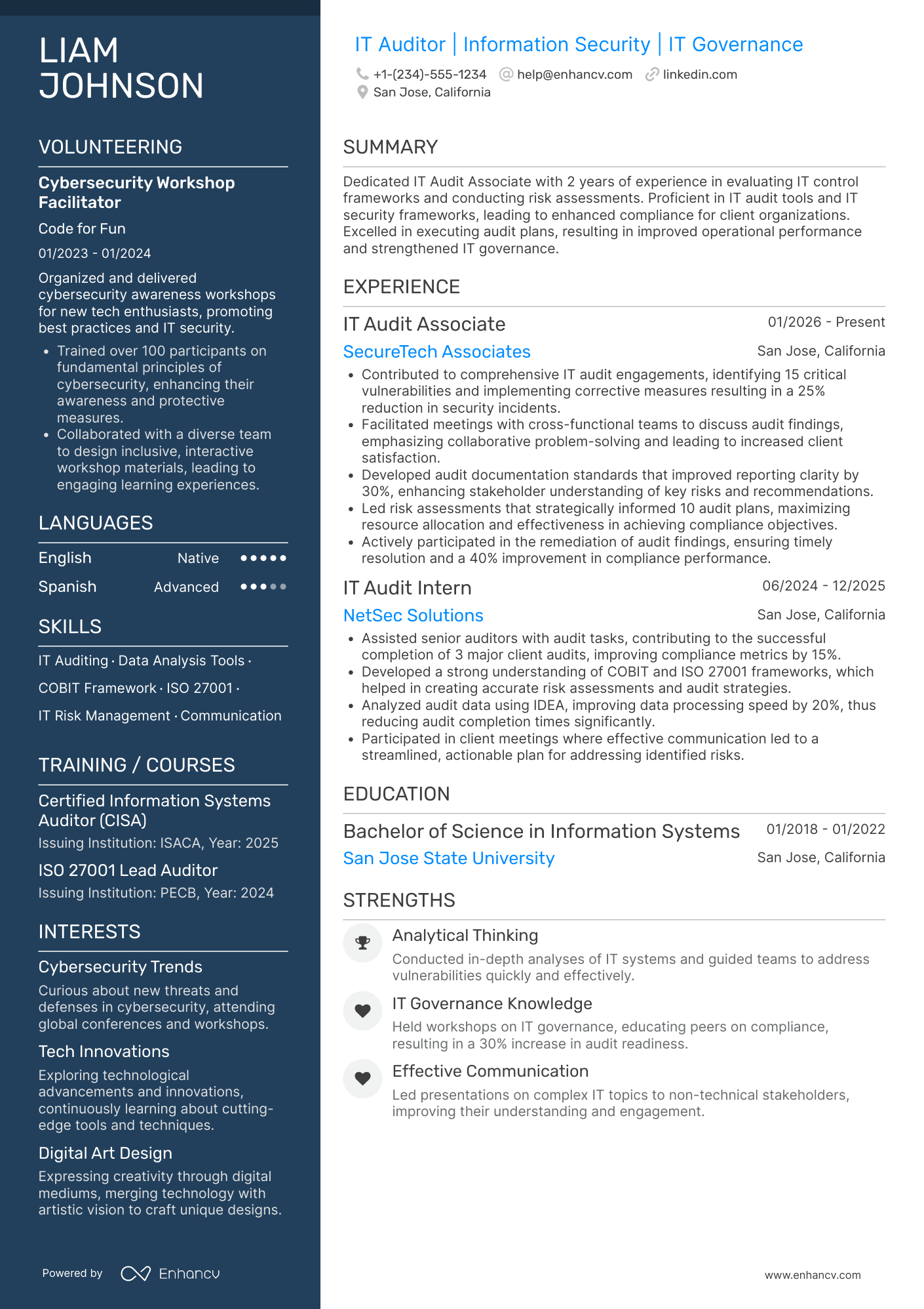 IT Audit Associate Resume Example