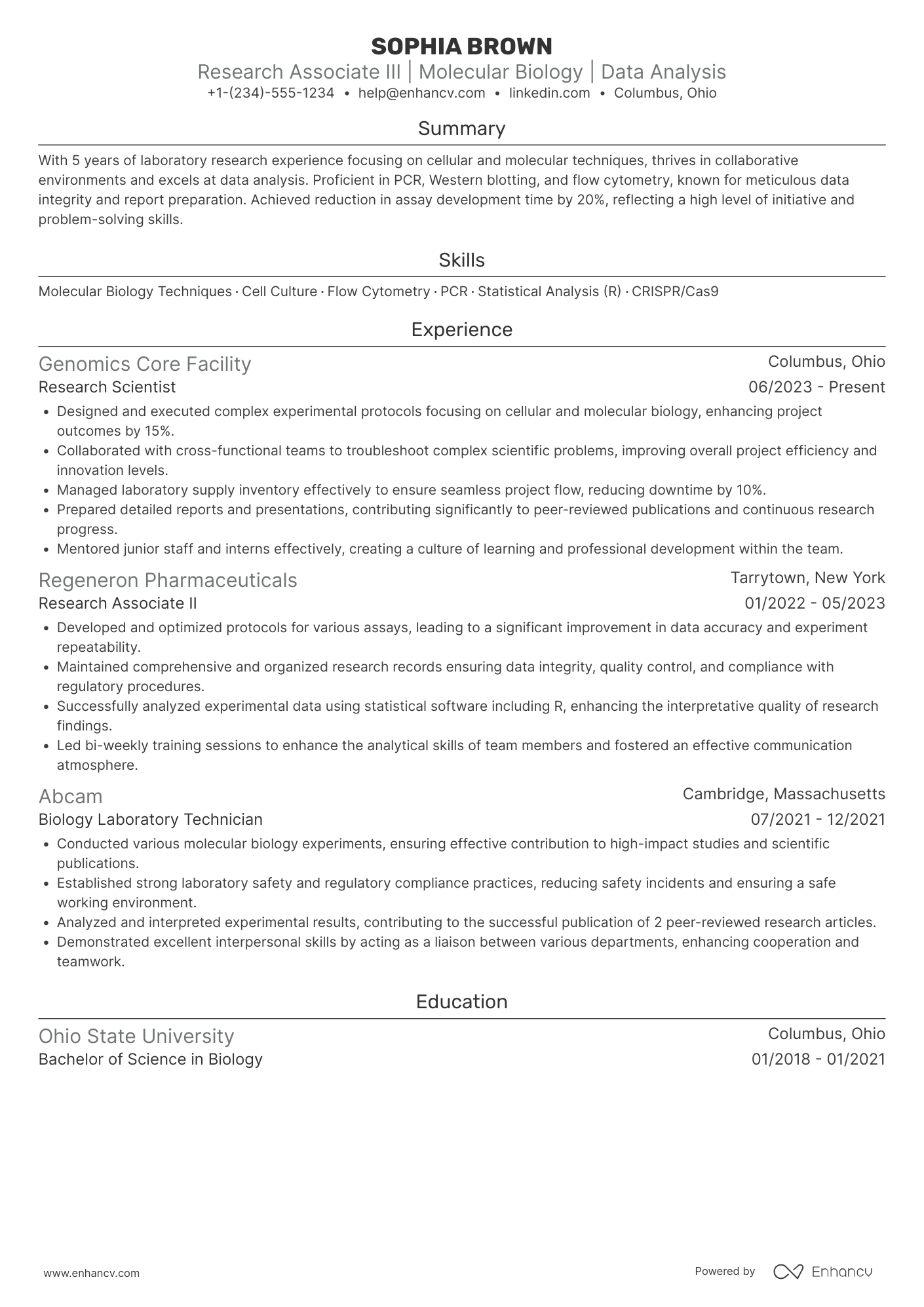 Research Associate III Resume Example